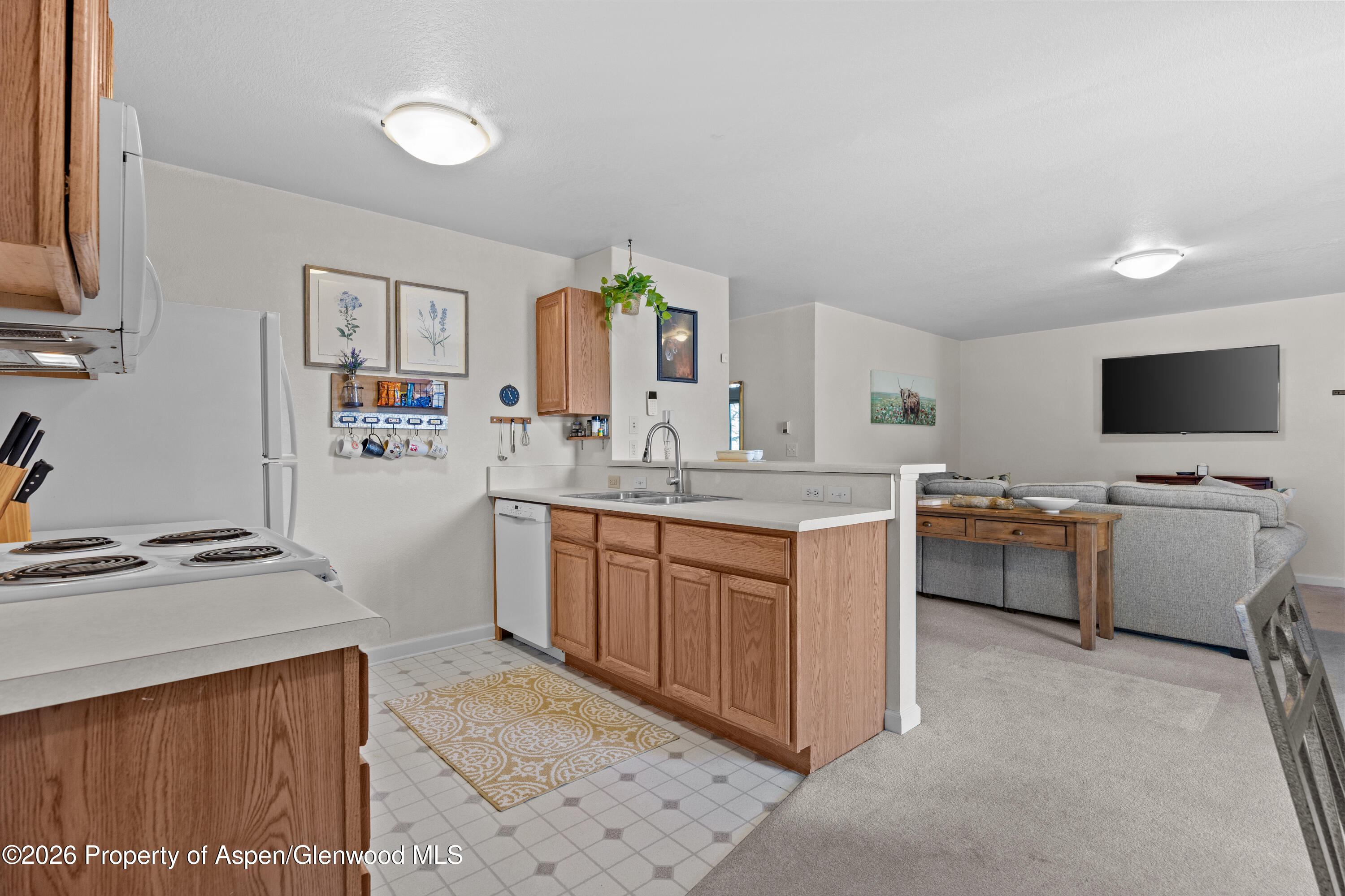 202 12th Street Carbondale CO 81623