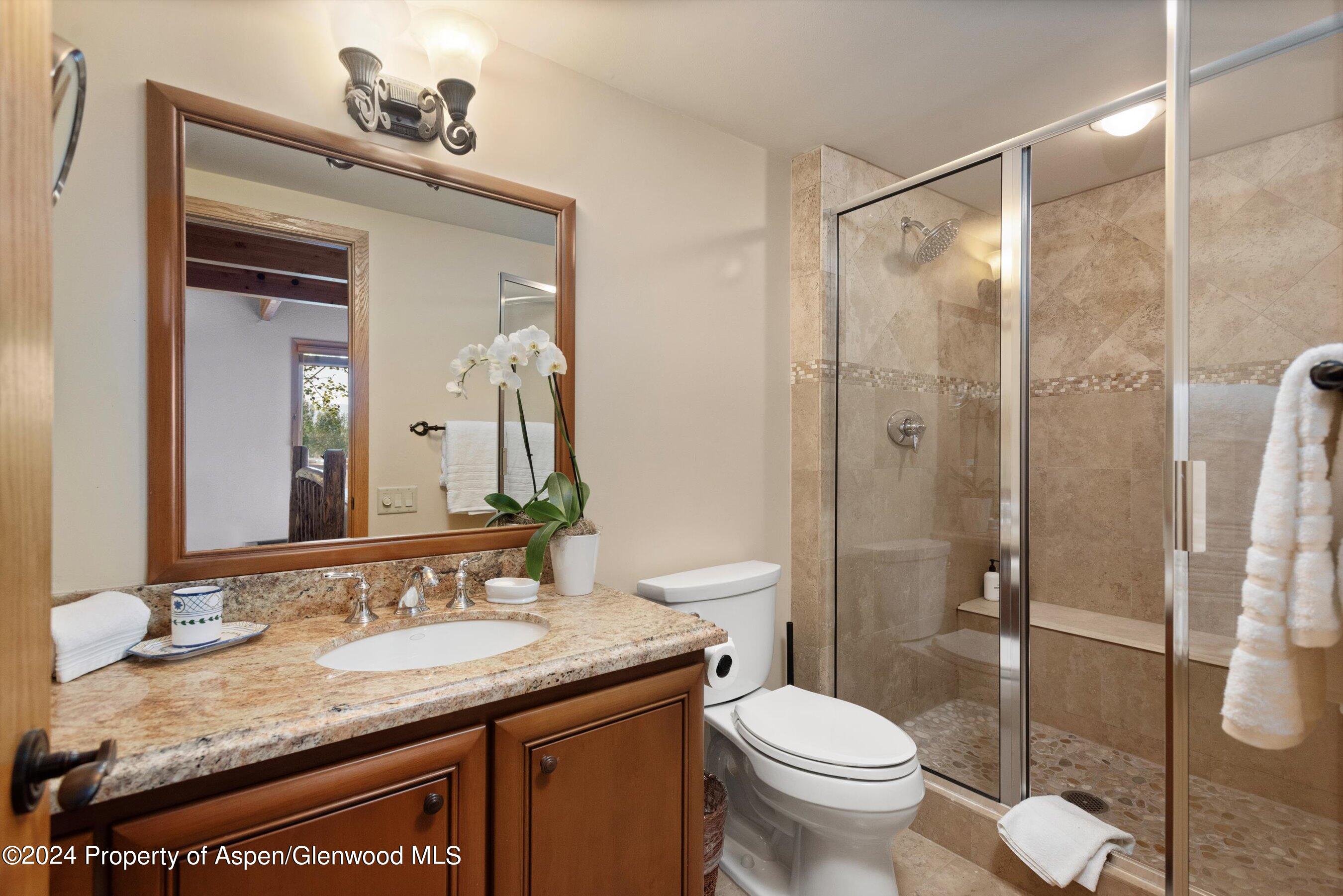 229 Faraway Road Snowmass Village CO 81615