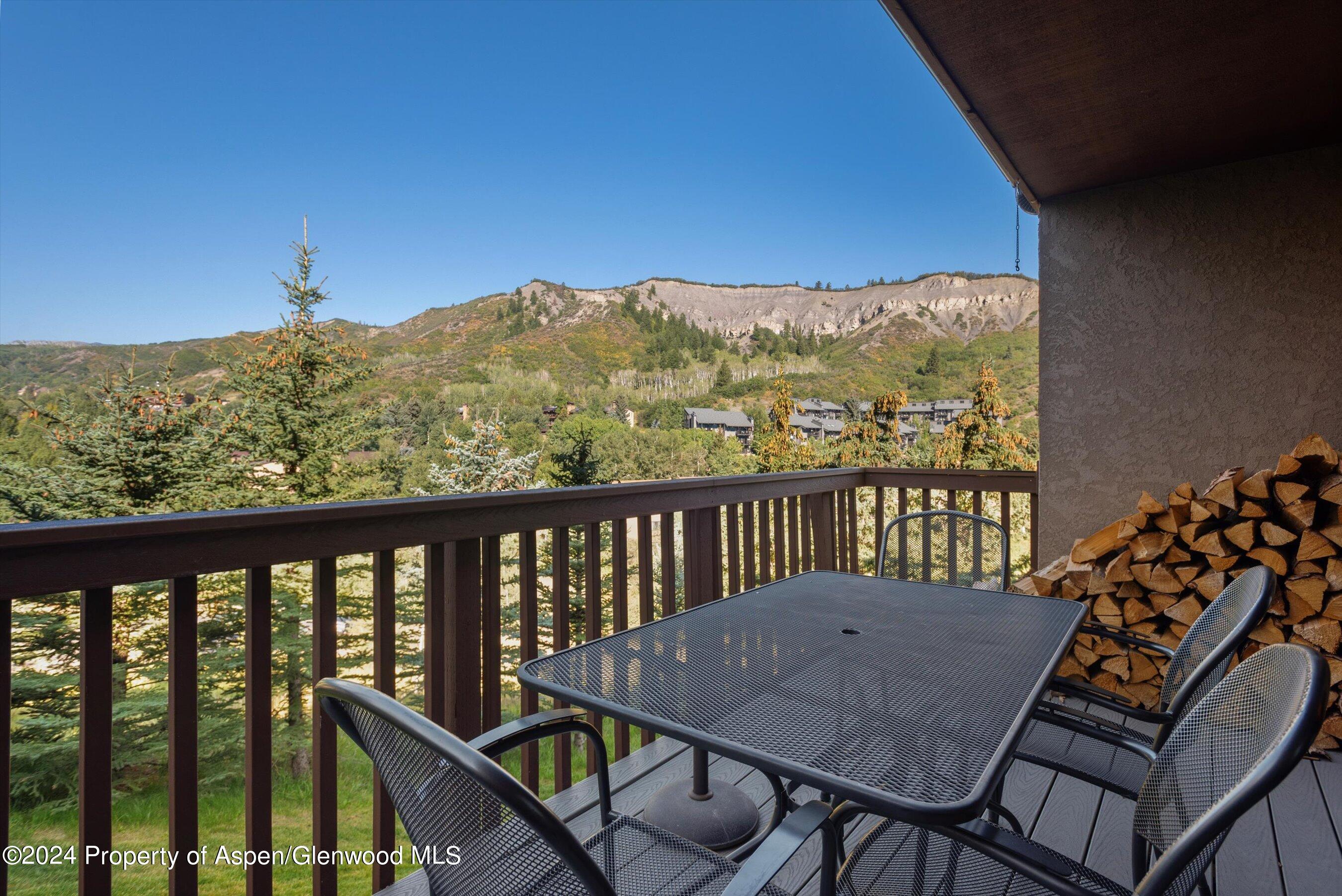 229 Faraway Road Snowmass Village CO 81615