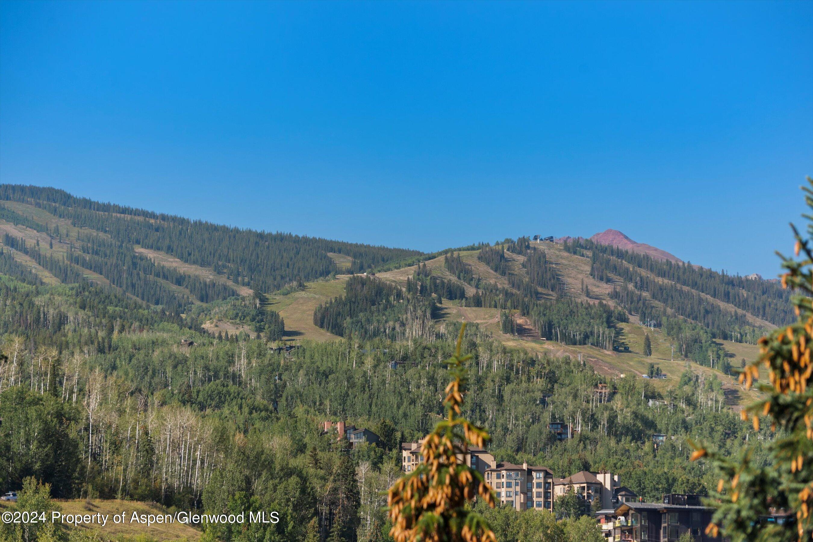 229 Faraway Road Snowmass Village CO 81615