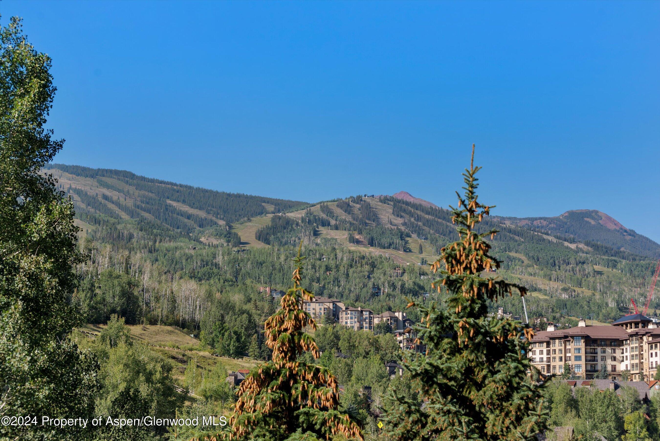 229 Faraway Road Snowmass Village CO 81615