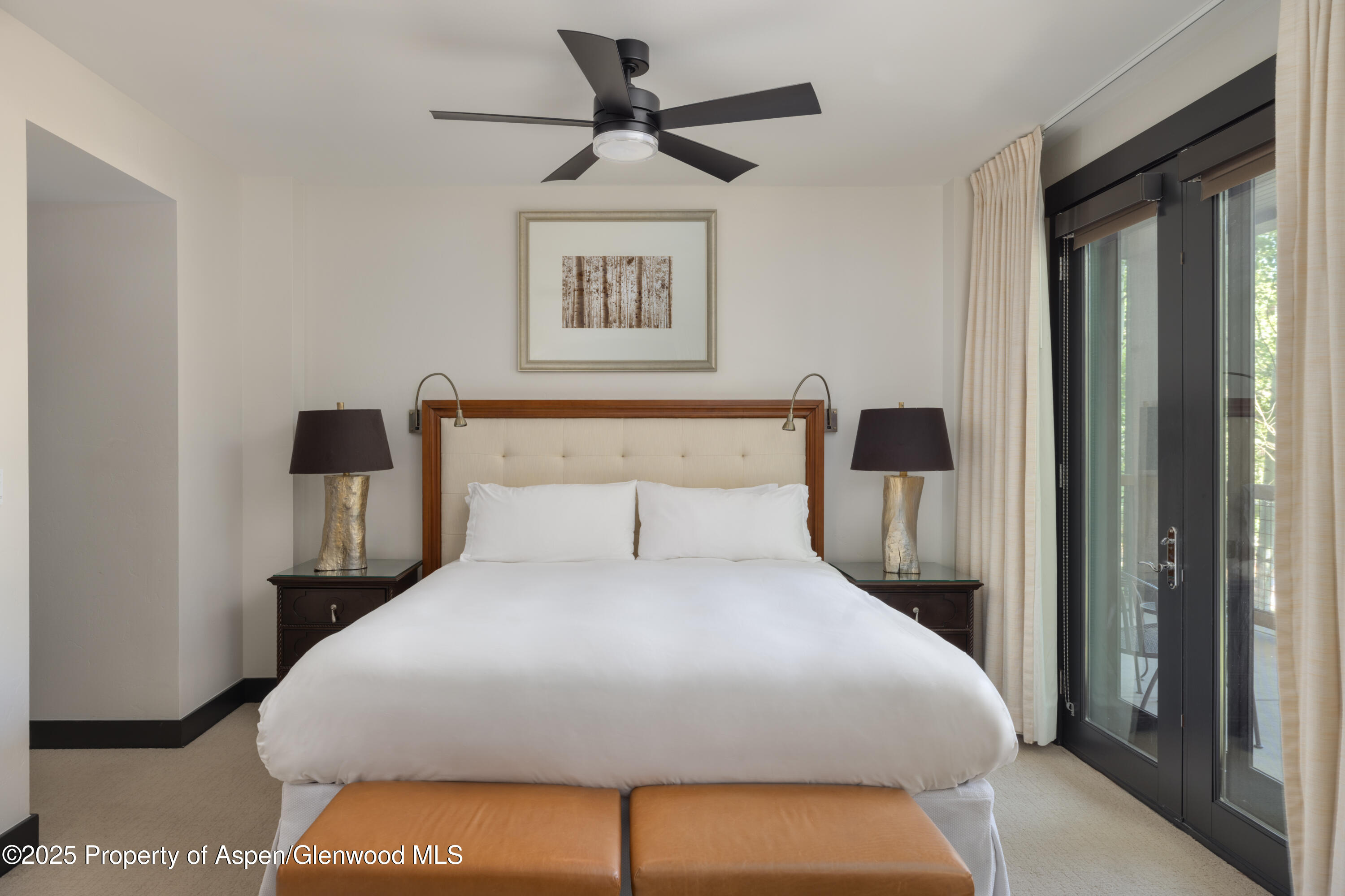 0239 Snowmass Club Circle Snowmass Village CO 81615