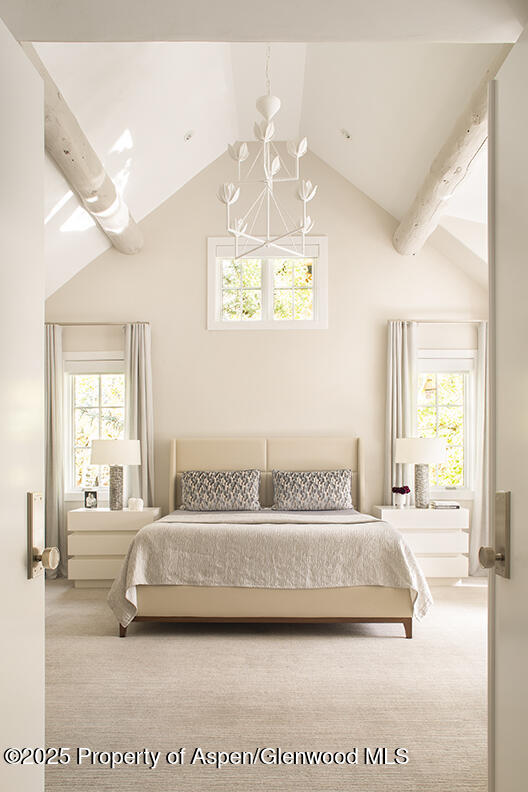 87 Thunderbowl Lane Aspen CO 81611