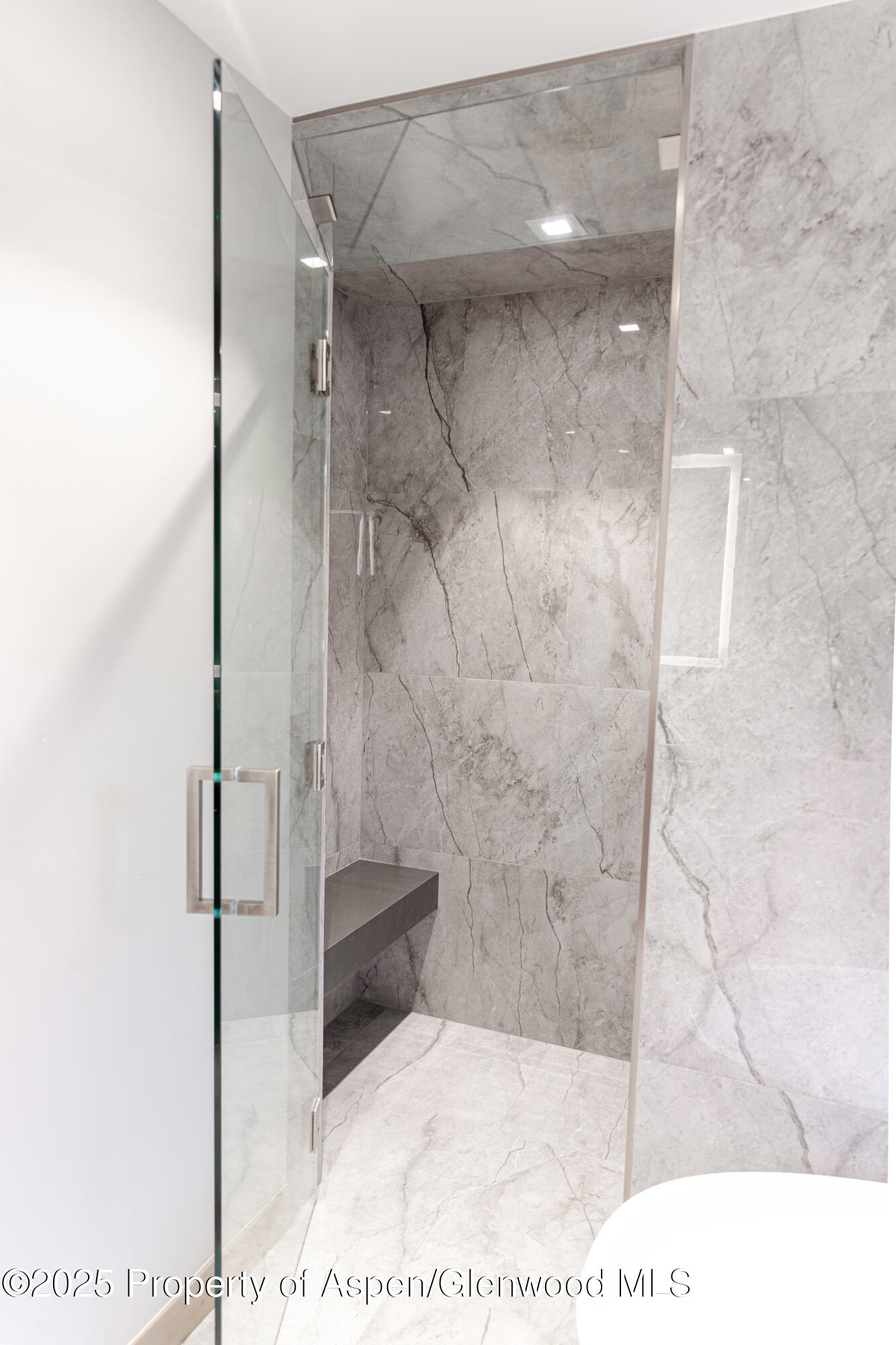 155 Lakeview Drive Carbondale CO 81623