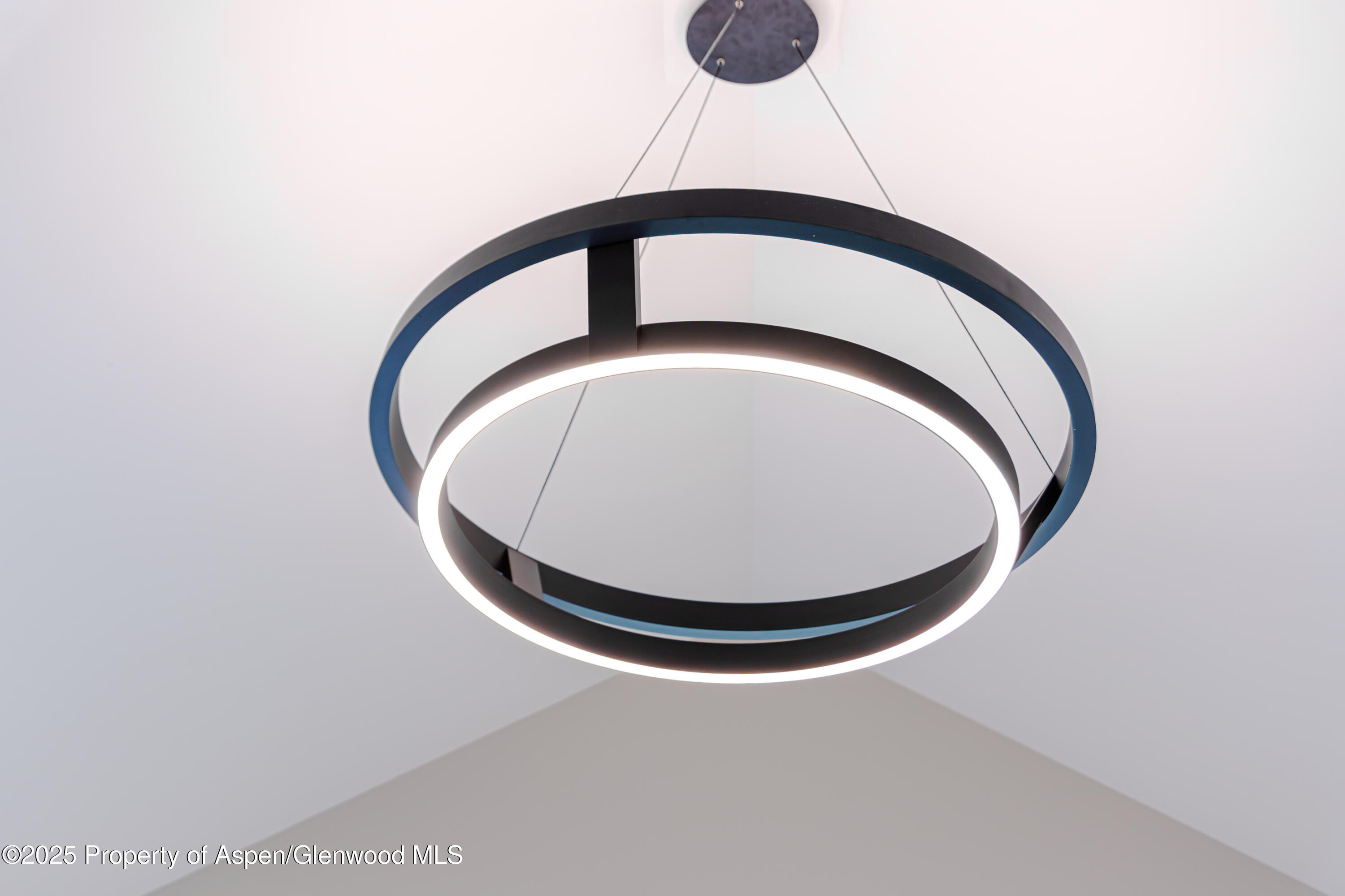 155 Lakeview Drive Carbondale CO 81623