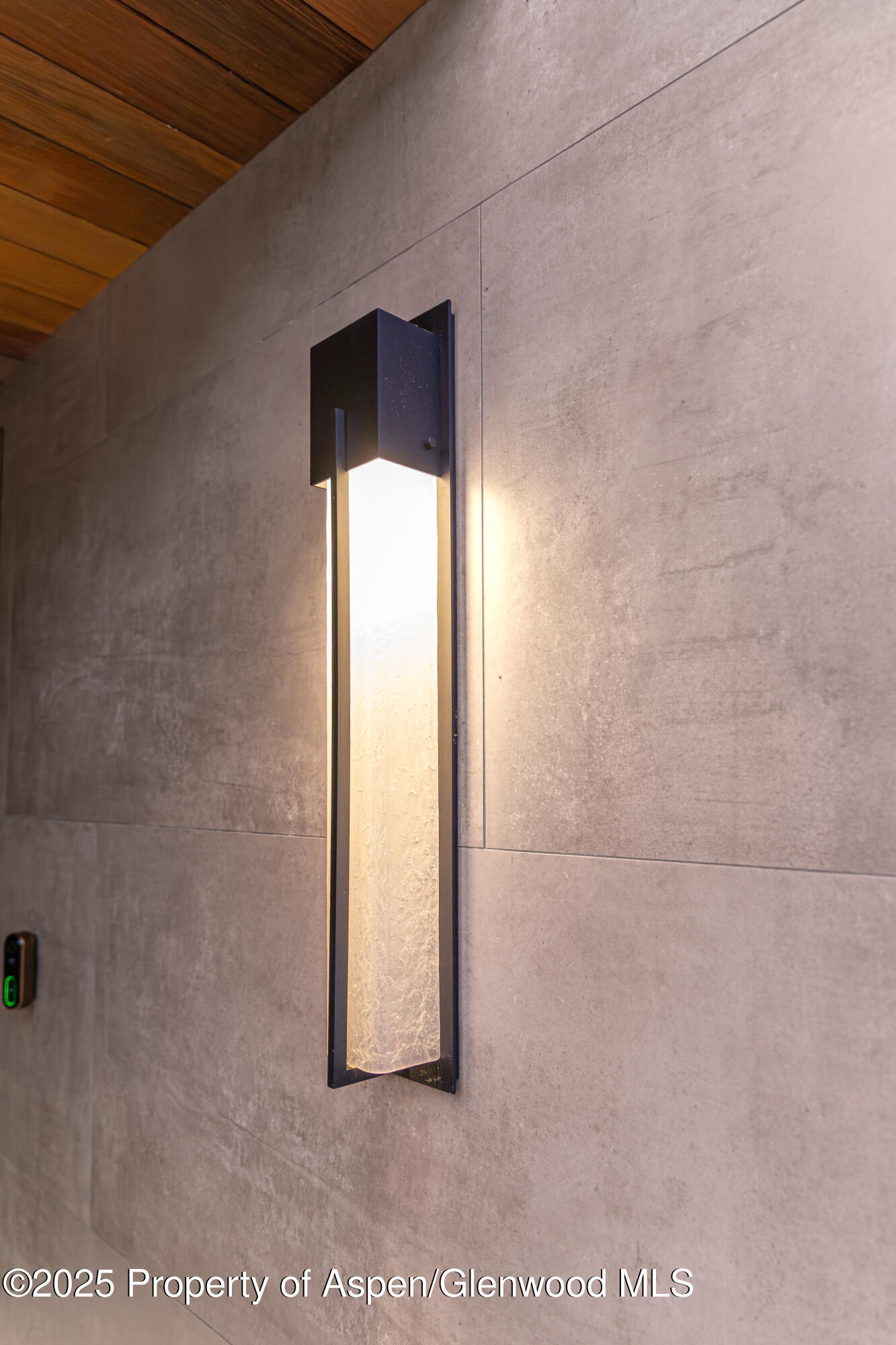 155 Lakeview Drive Carbondale CO 81623