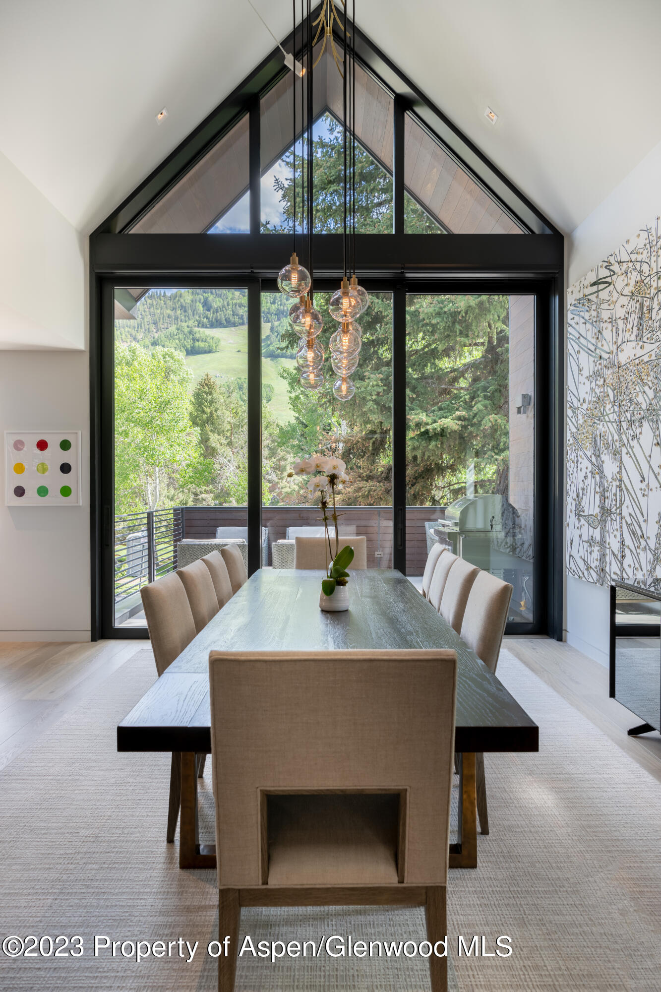 230 E Hopkins Avenue Aspen CO 81611