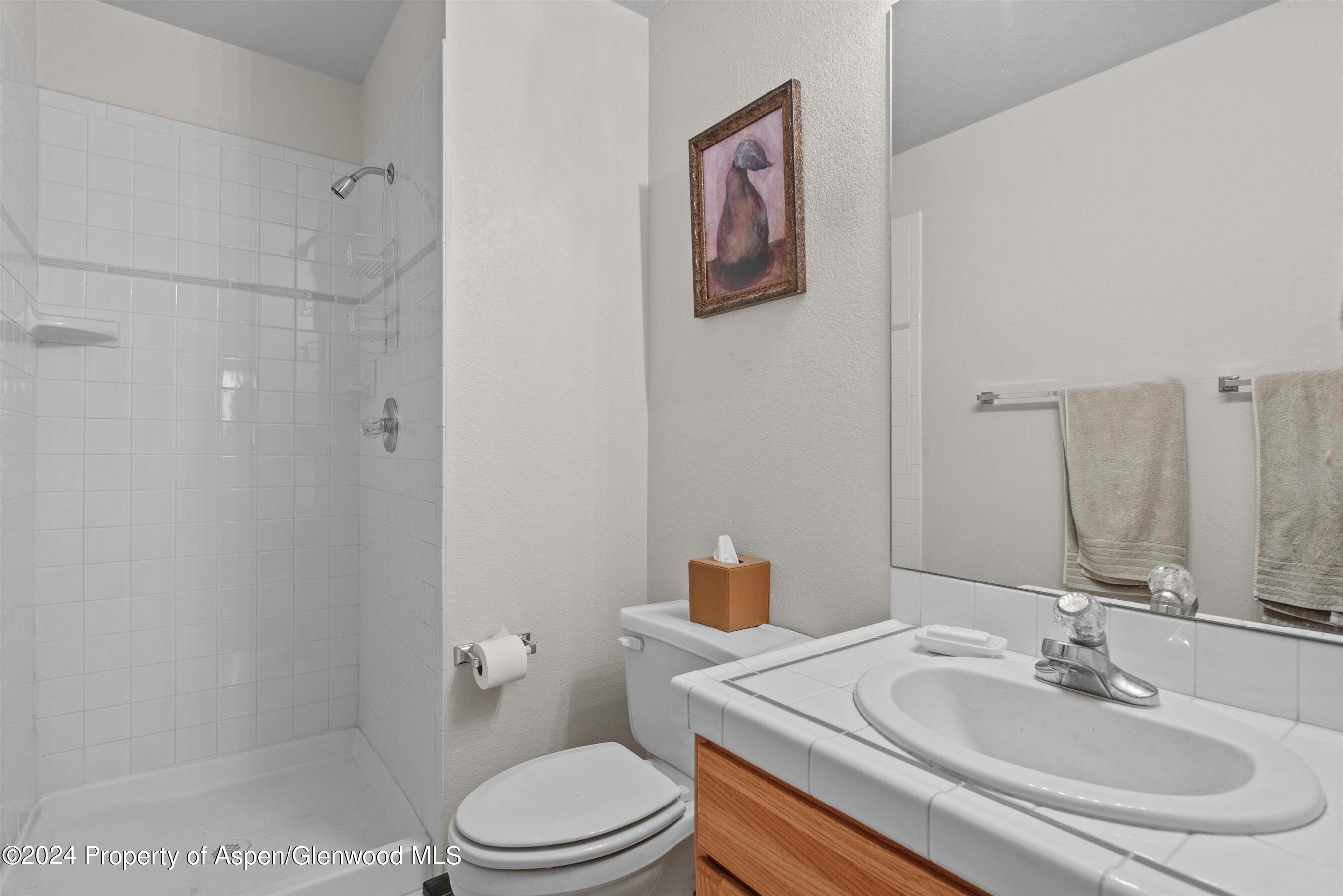 37 Sagewood Court Basalt CO 81621