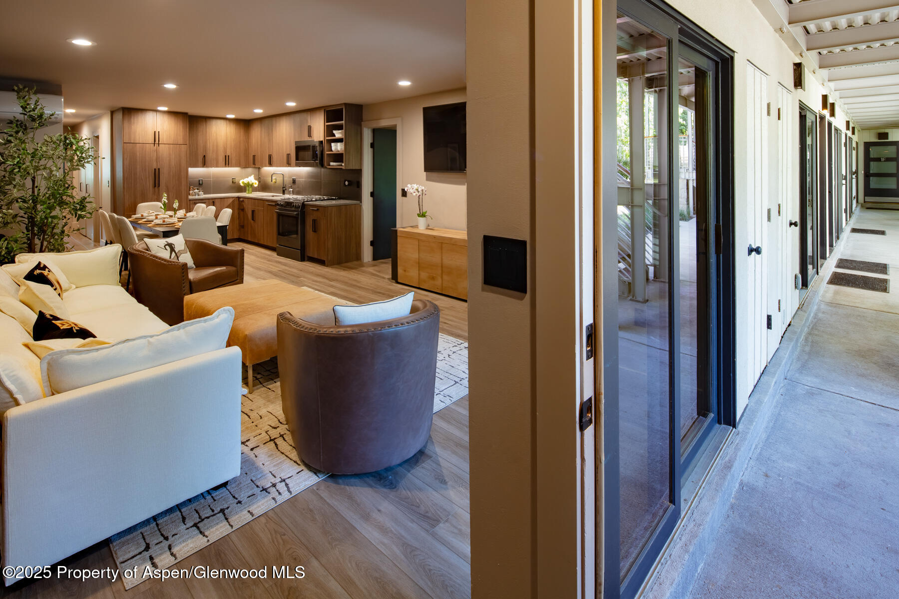 100 E Dean Street Aspen CO 81611