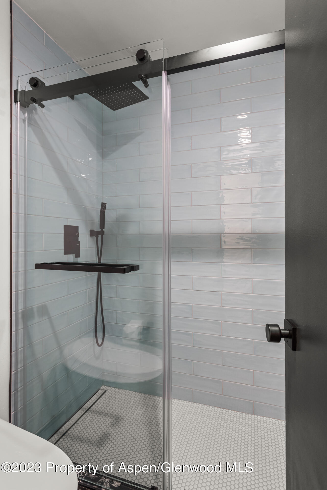 35 Upper Woodbridge Road Snowmass Village CO 81615