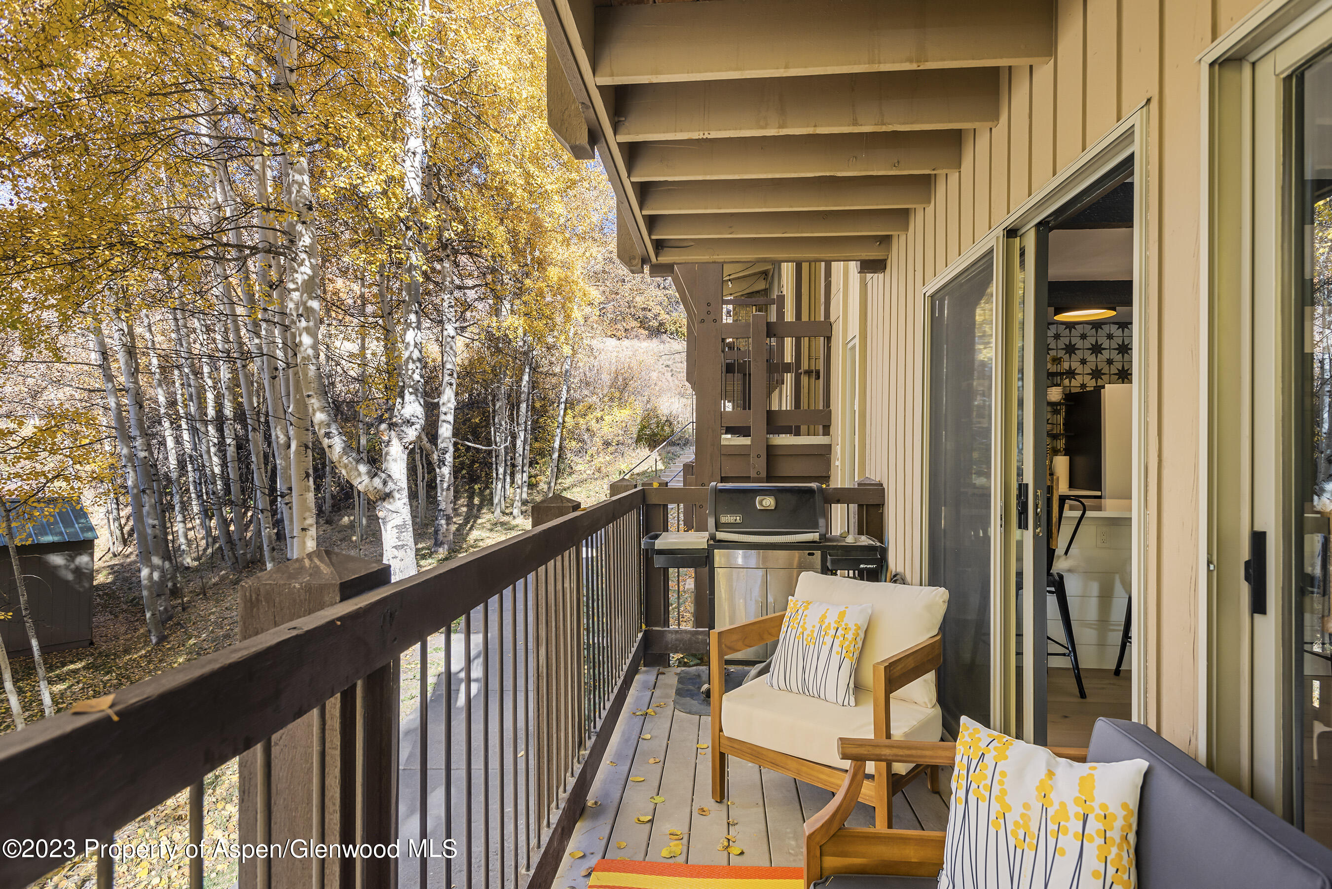 35 Upper Woodbridge Road Snowmass Village CO 81615