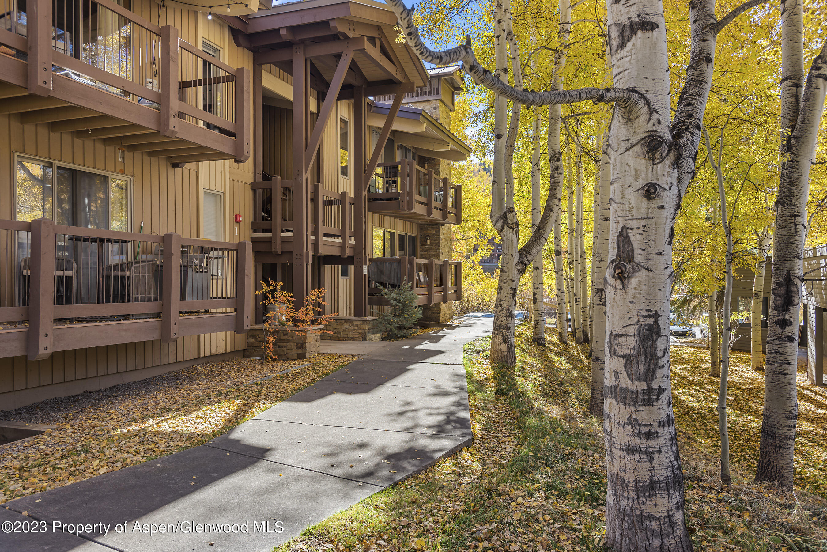 35 Upper Woodbridge Road Snowmass Village CO 81615
