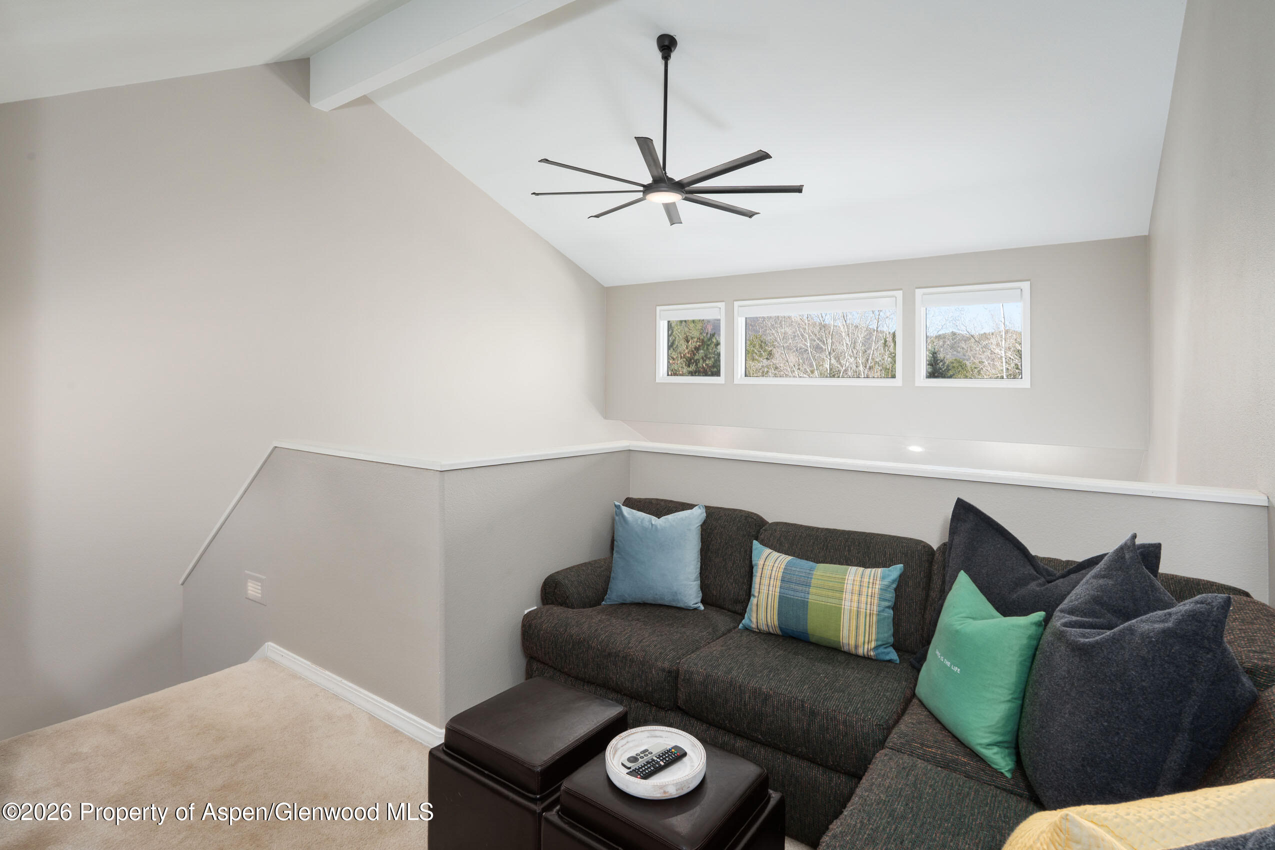 2003 Arbor Park Drive Basalt CO 81621