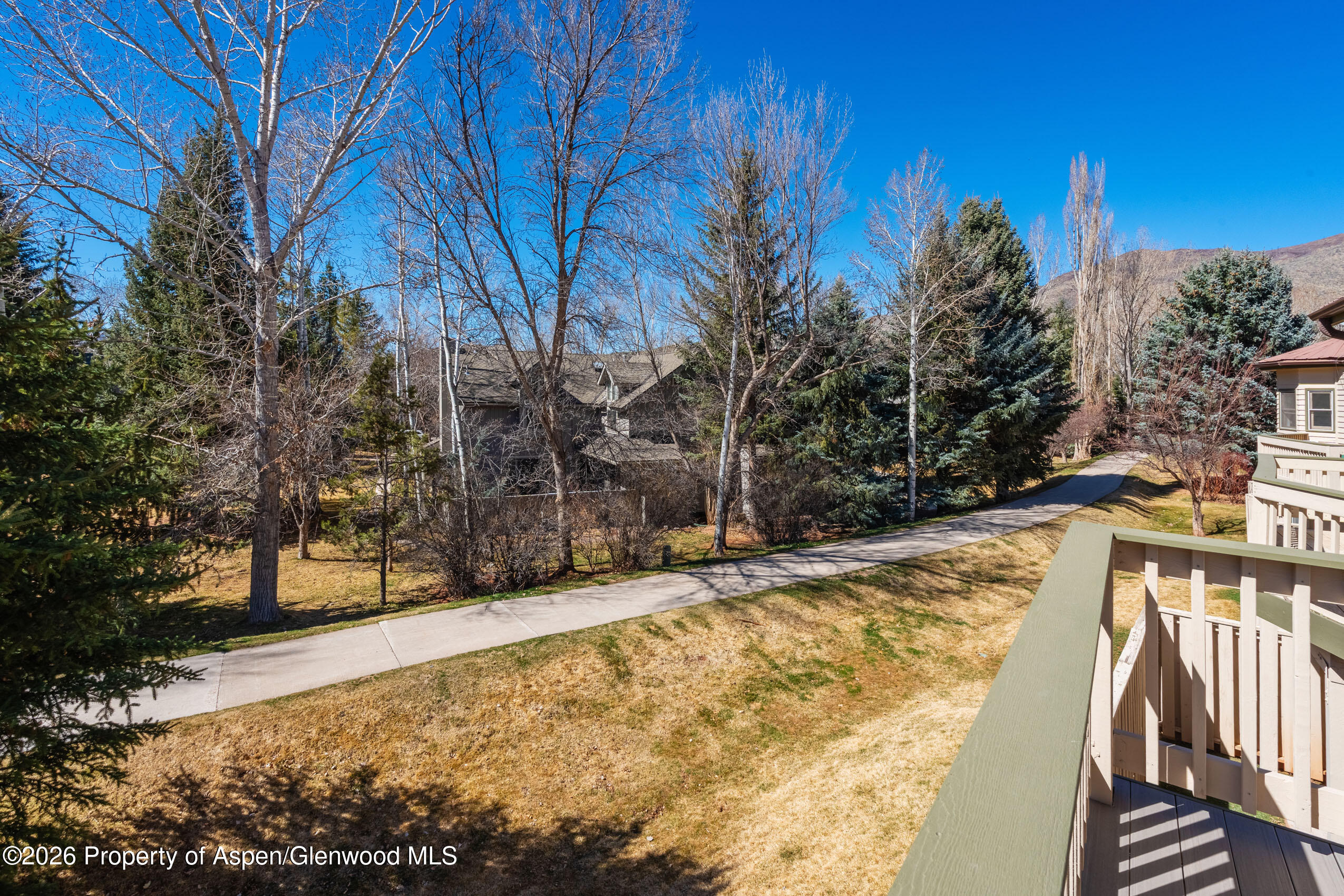 2003 Arbor Park Drive Basalt CO 81621