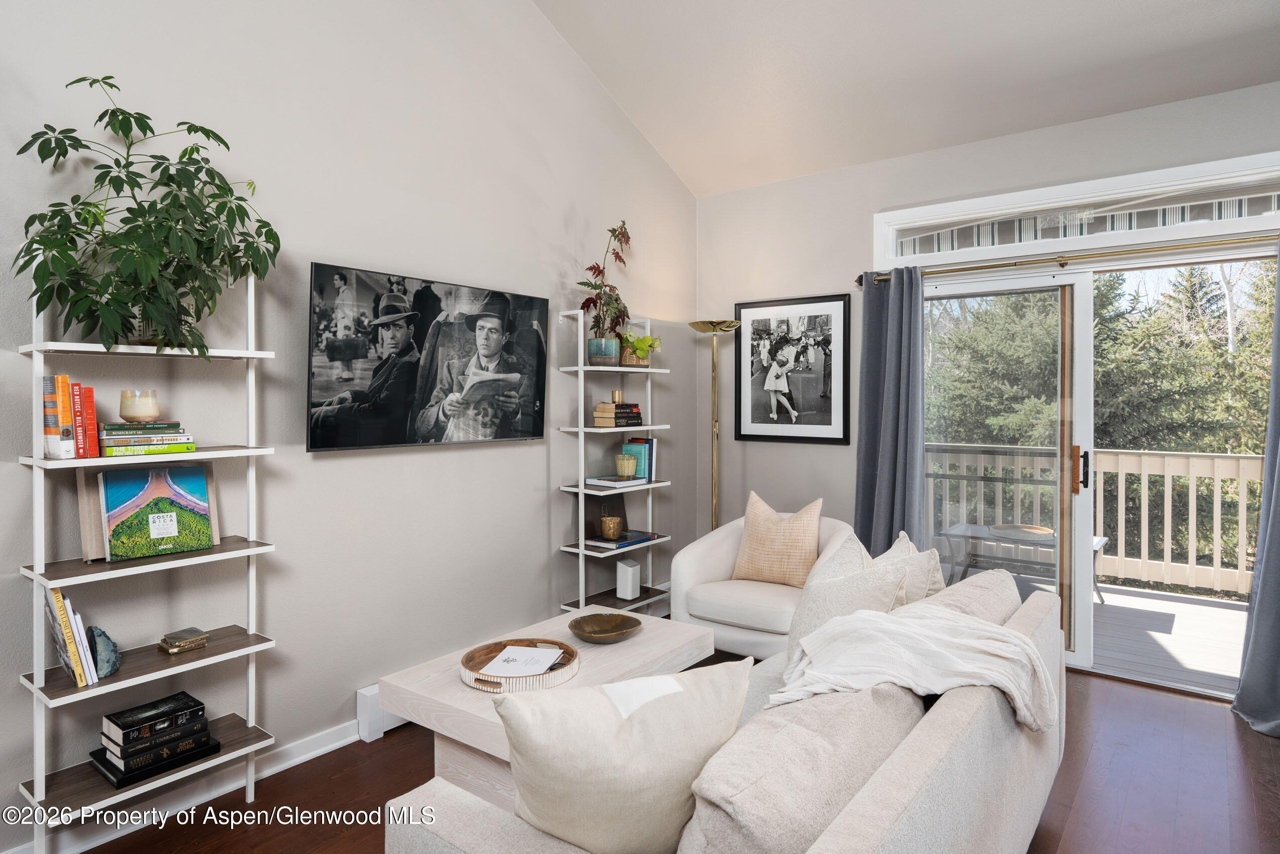 2003 Arbor Park Drive Basalt CO 81621