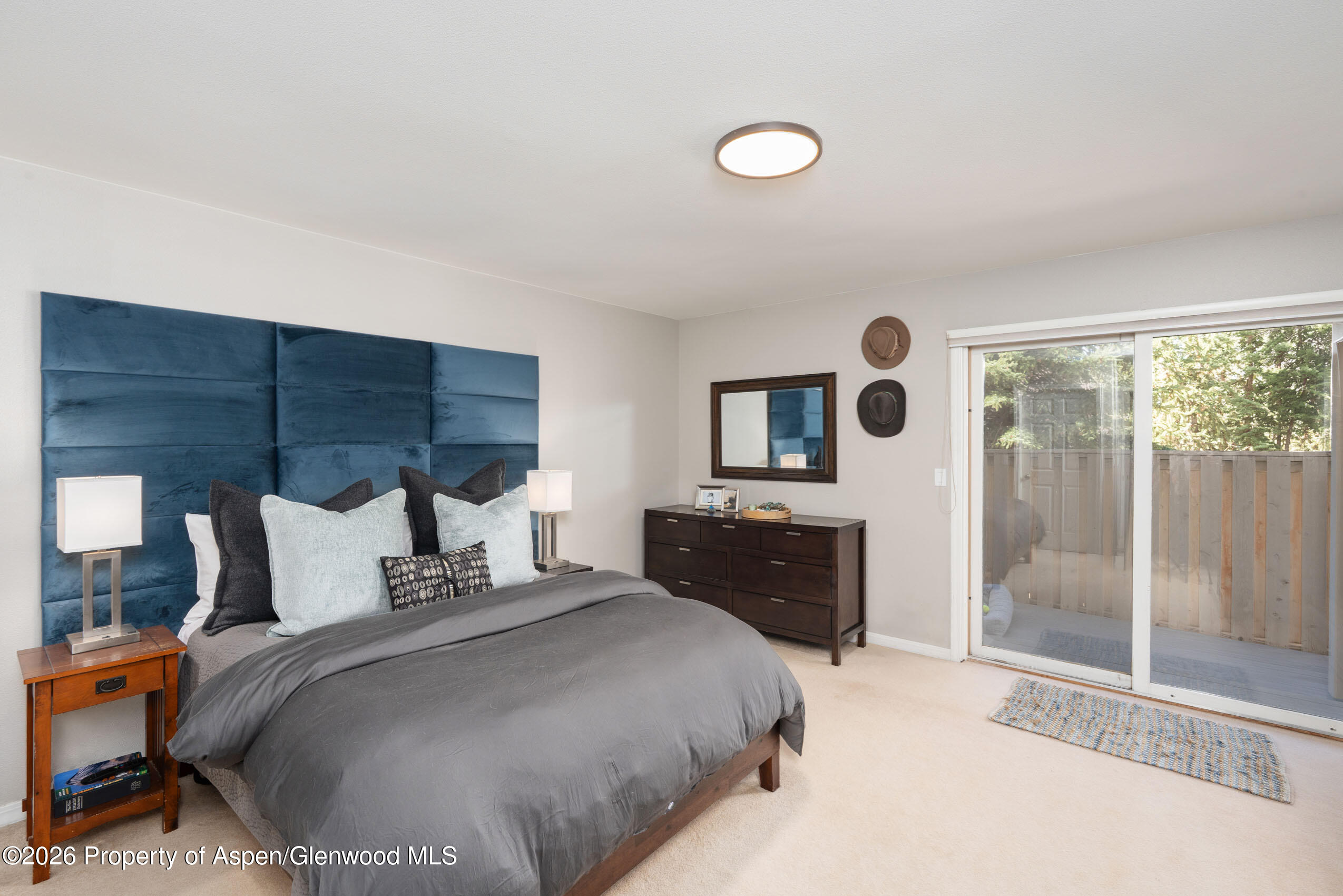 2003 Arbor Park Drive Basalt CO 81621