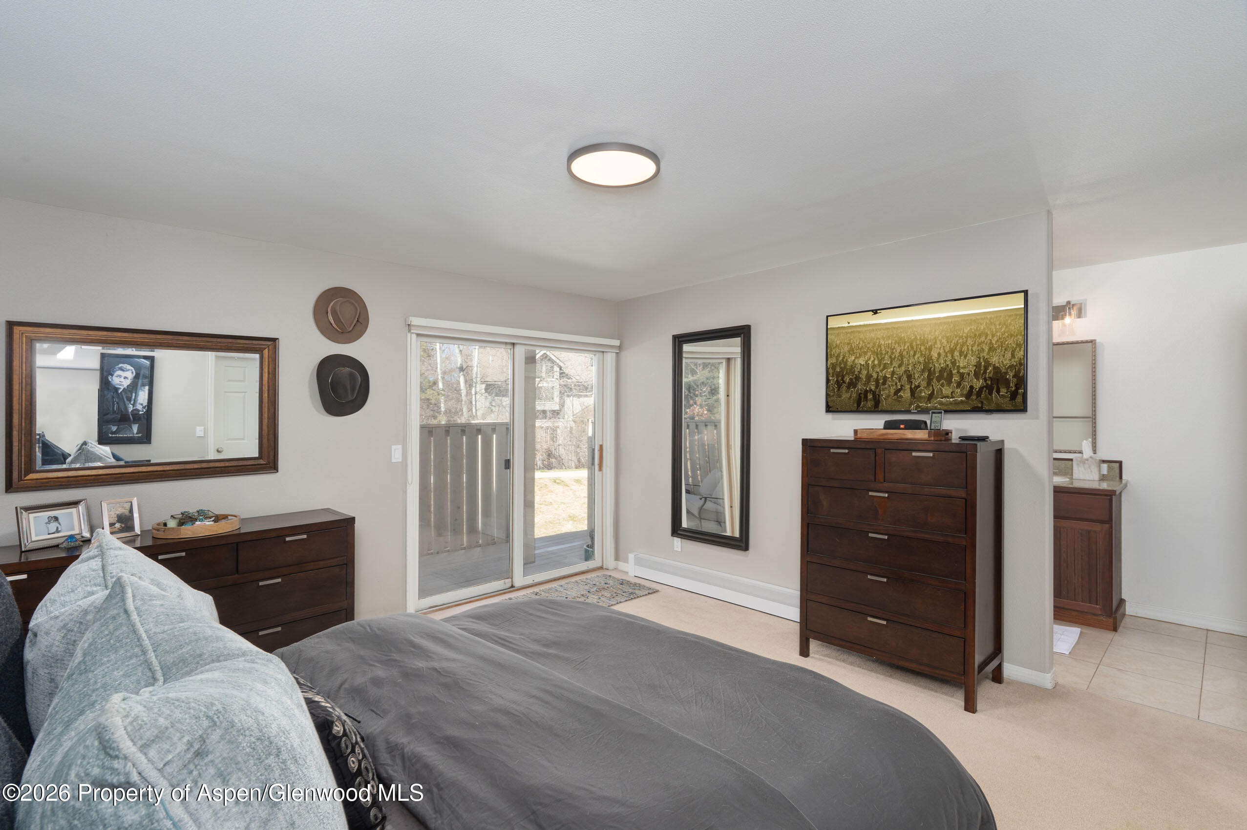 2003 Arbor Park Drive Basalt CO 81621