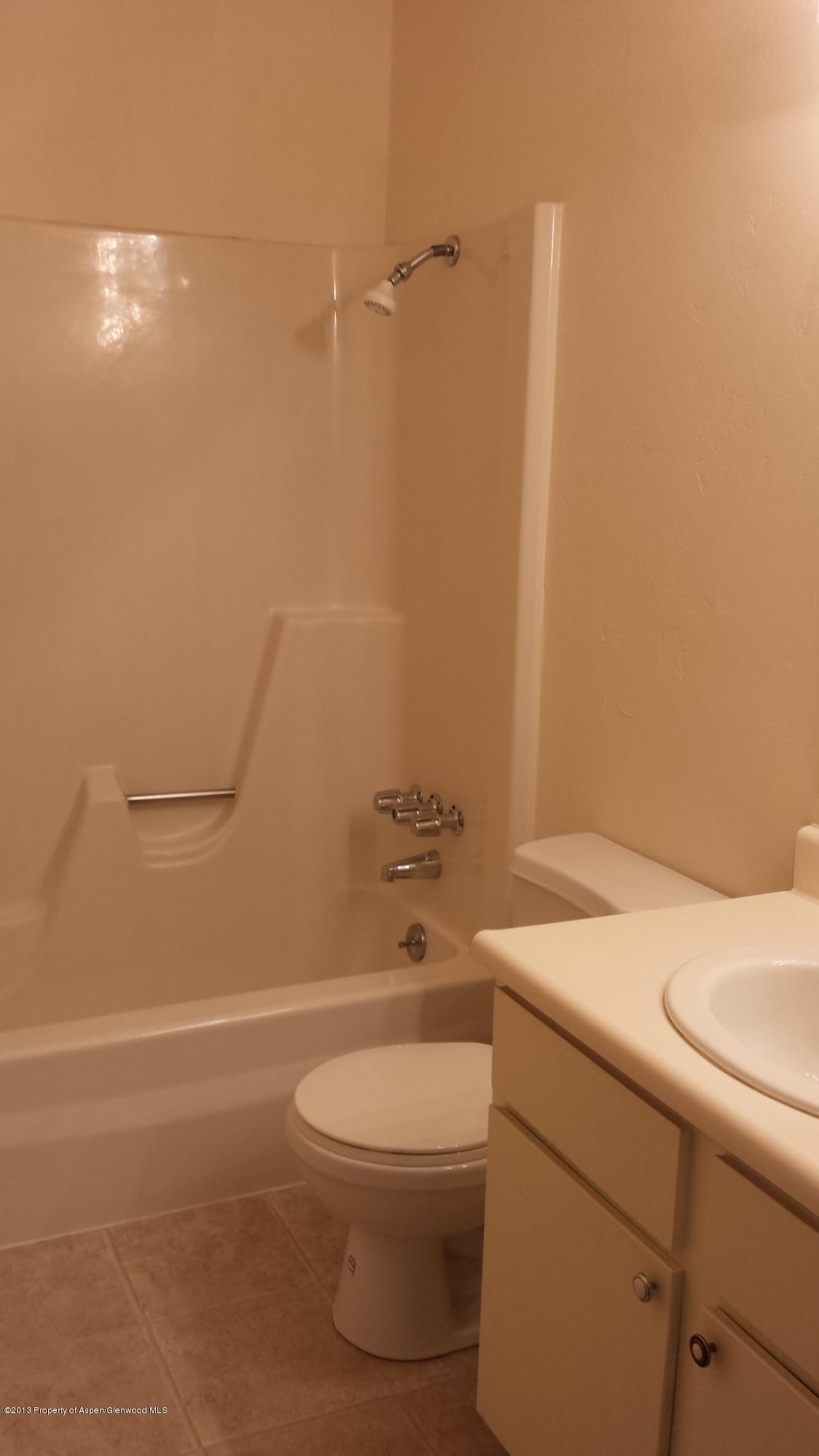 621 S 2nd Street Carbondale CO 81623