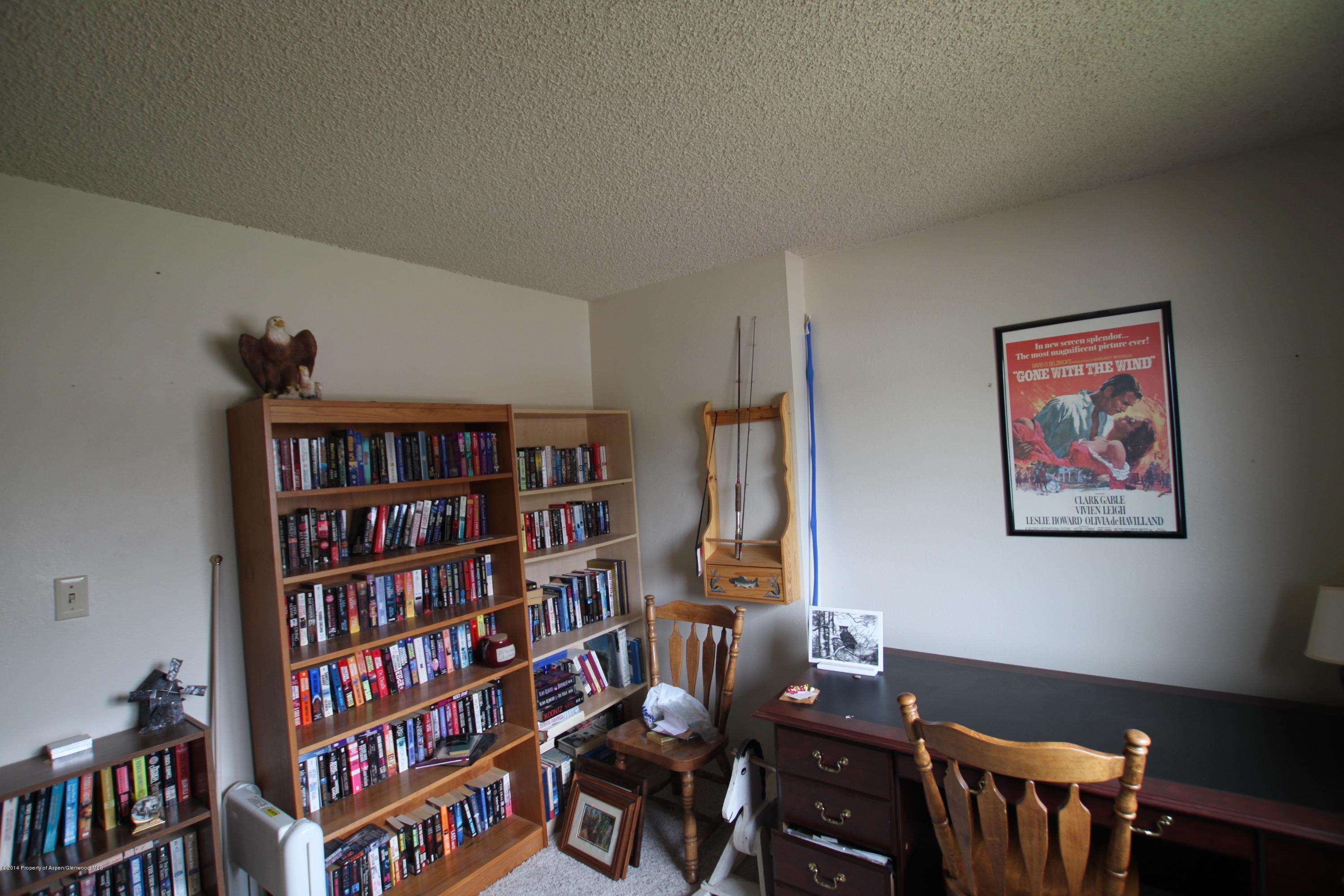 621 S 2nd Street Carbondale CO 81623