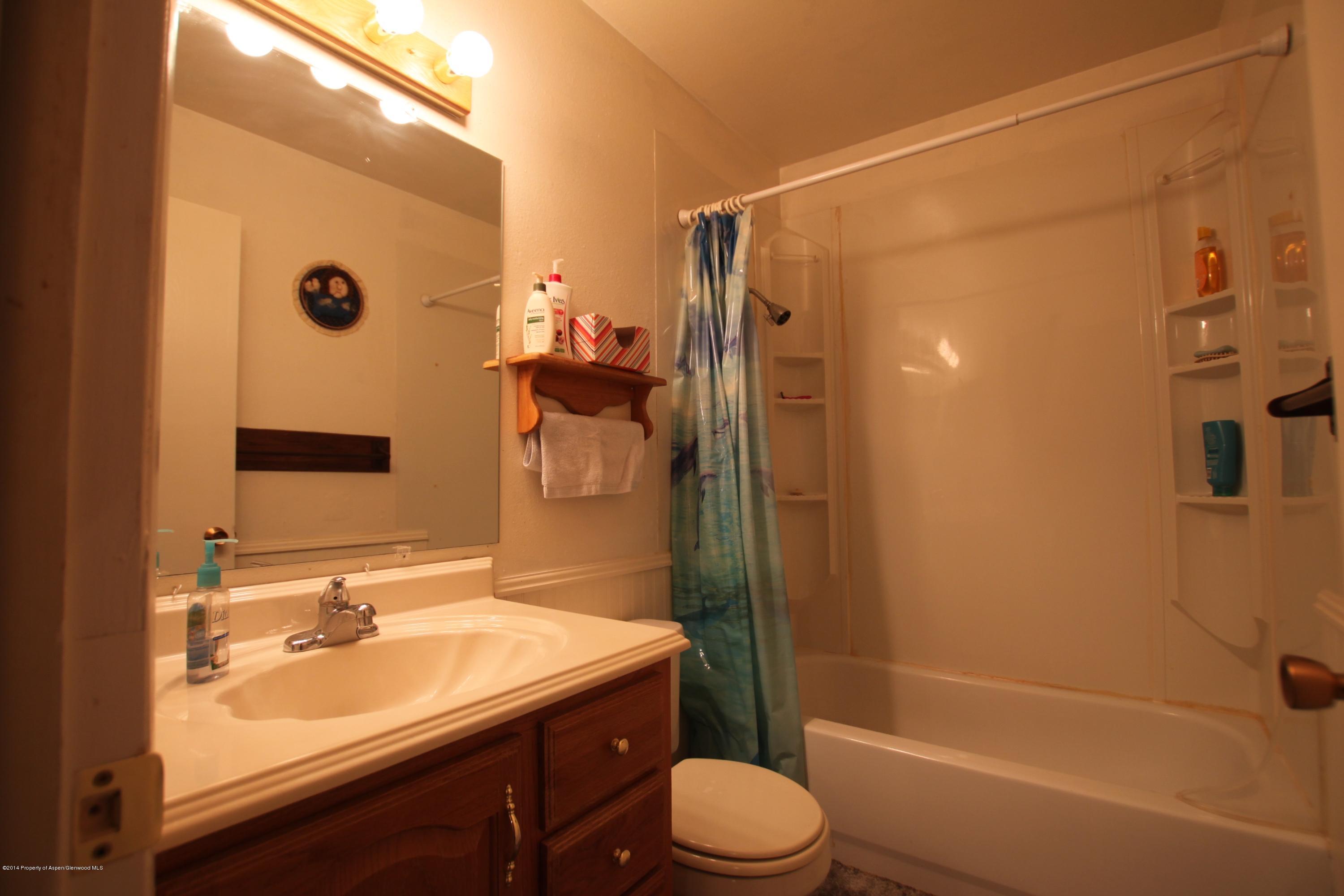 621 S 2nd Street Carbondale CO 81623