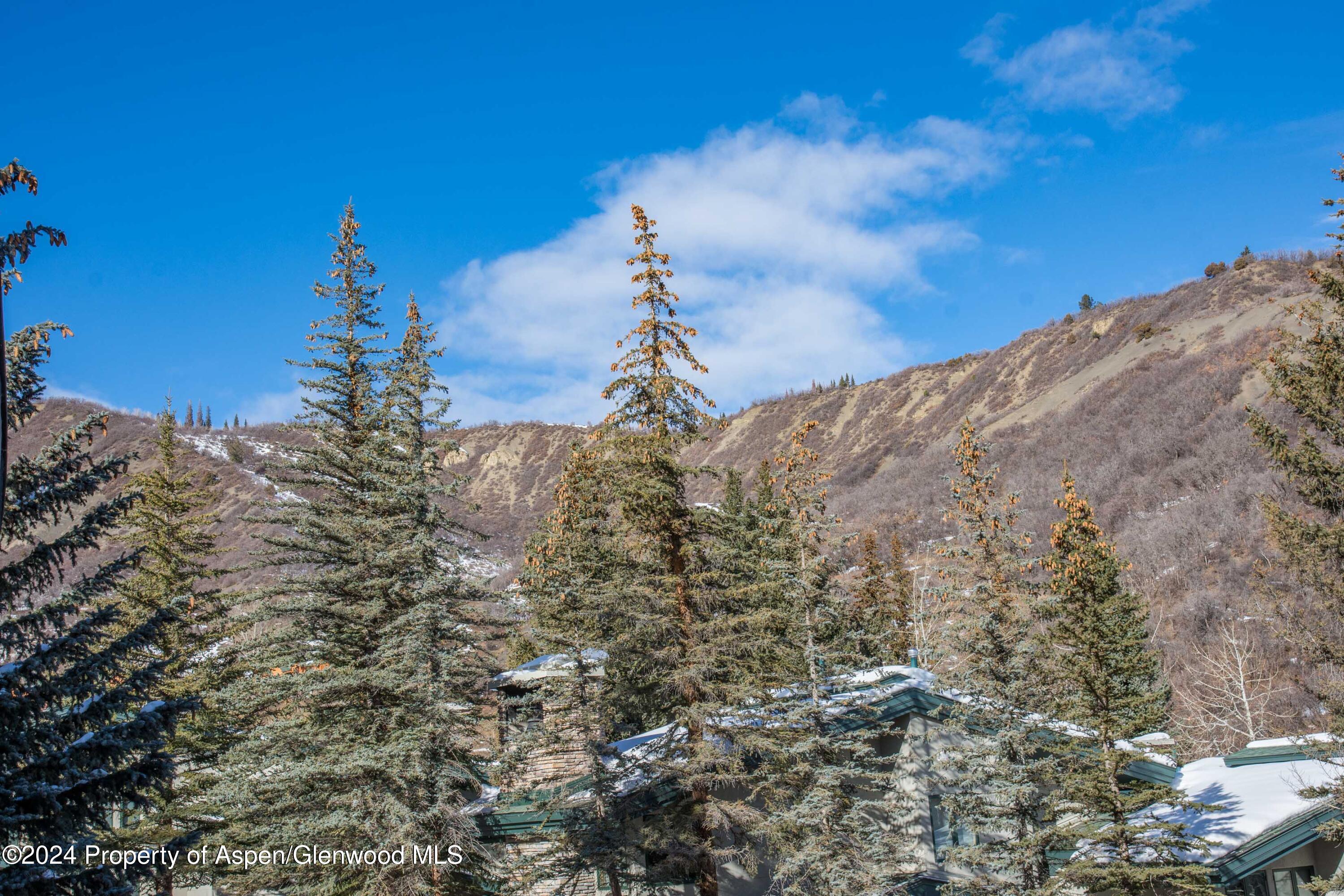 150 Carriage Way Snowmass Village CO 81615