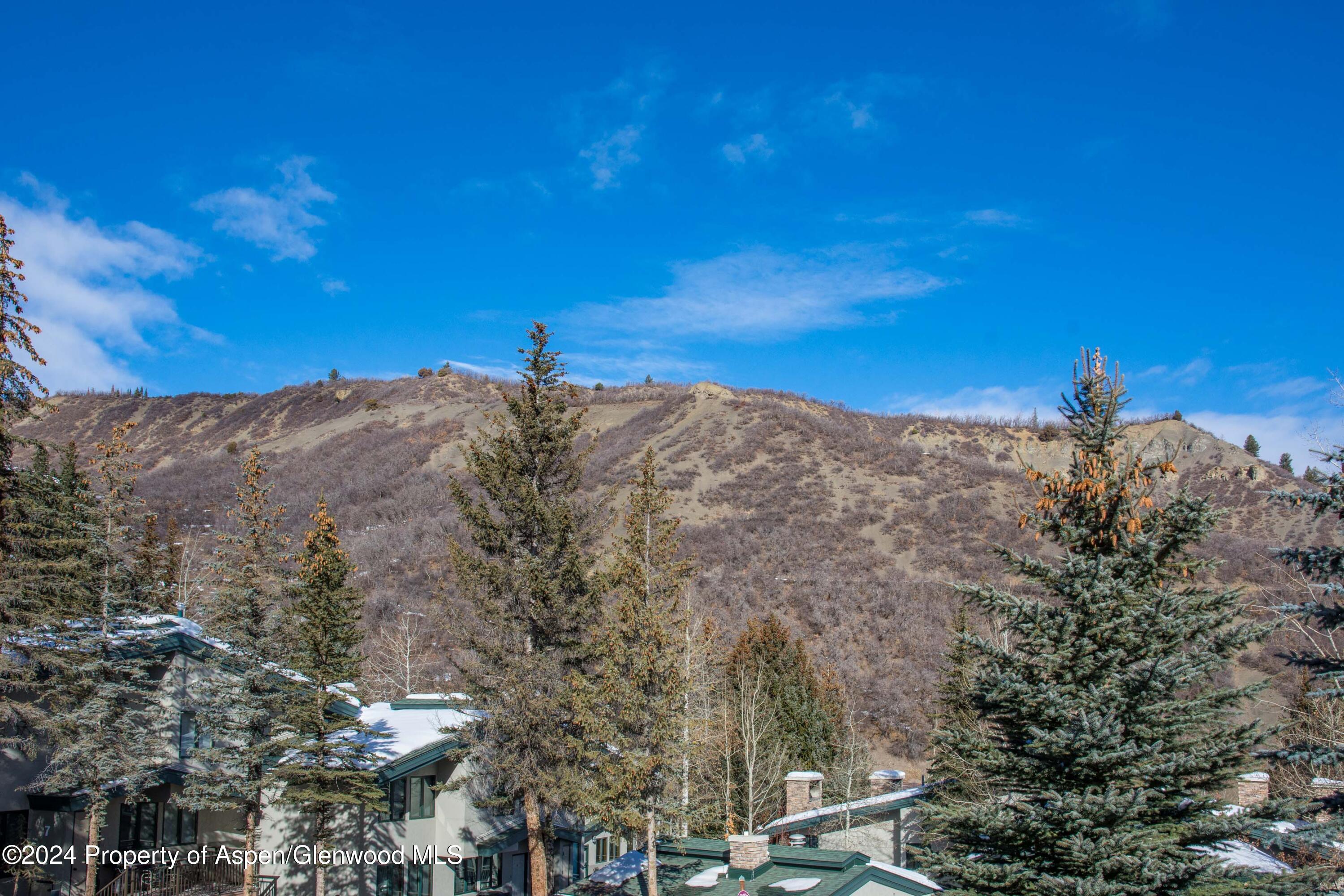 150 Carriage Way Snowmass Village CO 81615