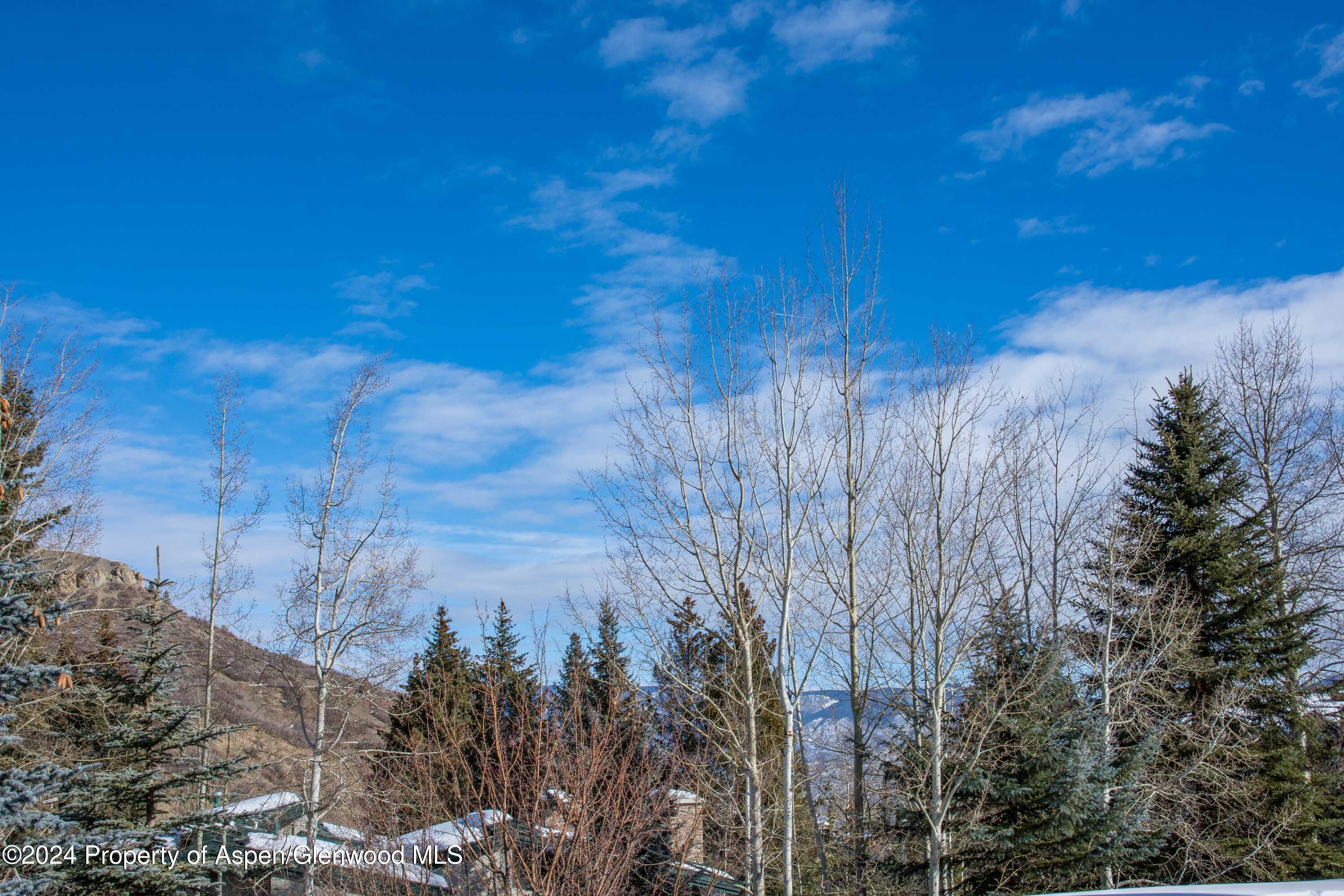 150 Carriage Way Snowmass Village CO 81615