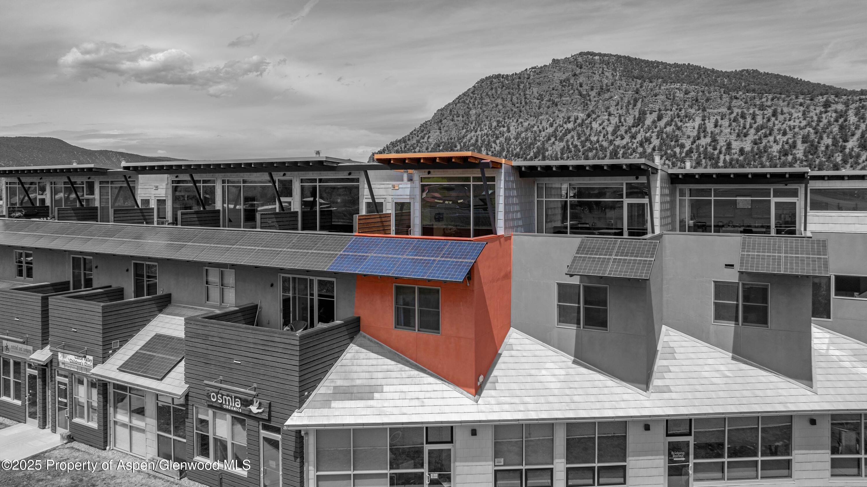 2635 Dolores Way Carbondale CO 81623