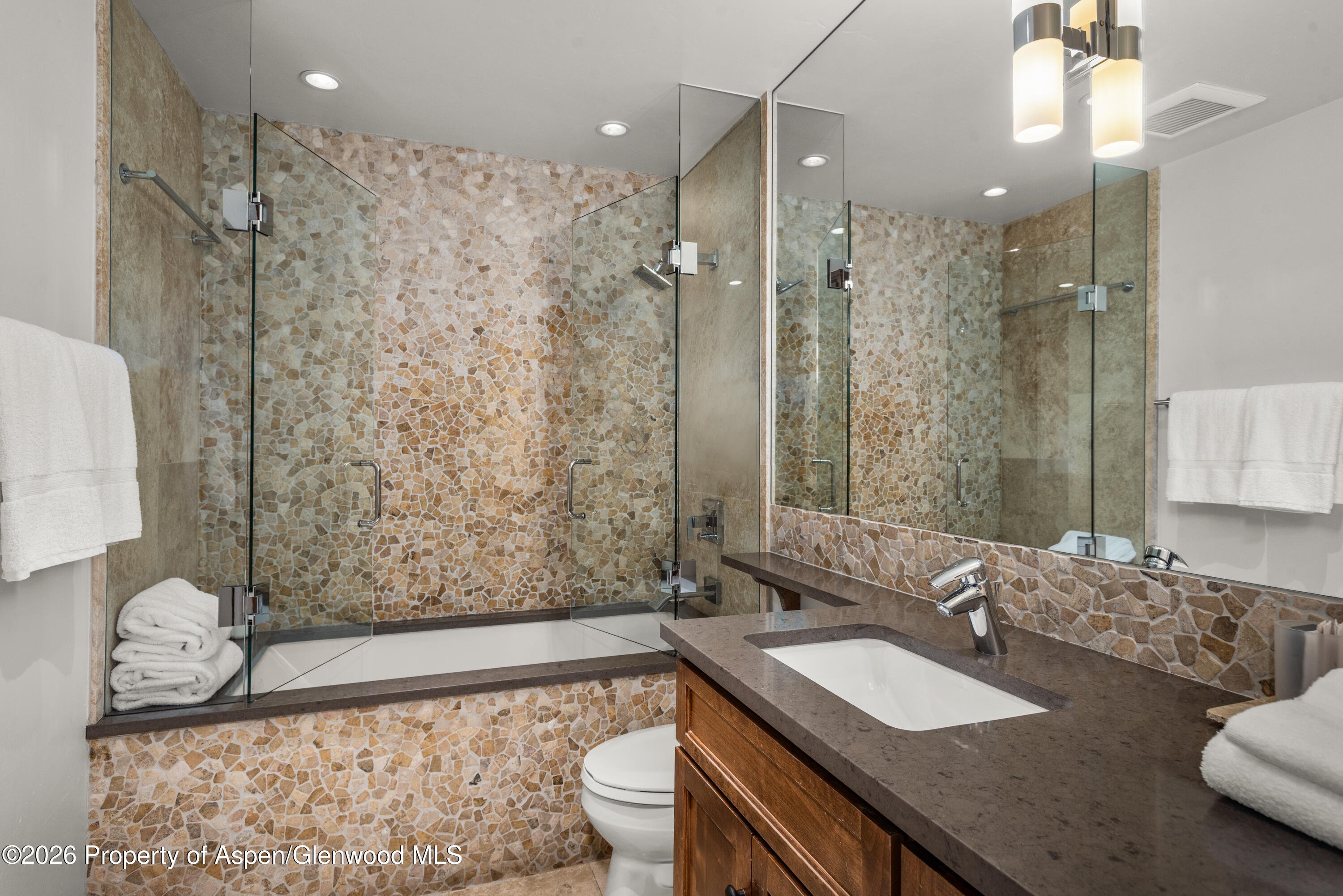 610 S West End Street Aspen CO 81611