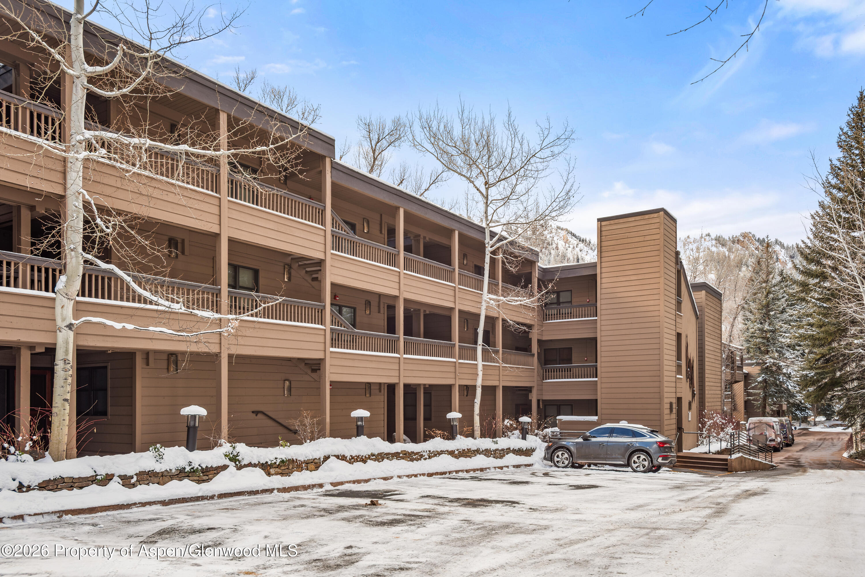 610 S West End Street Aspen CO 81611