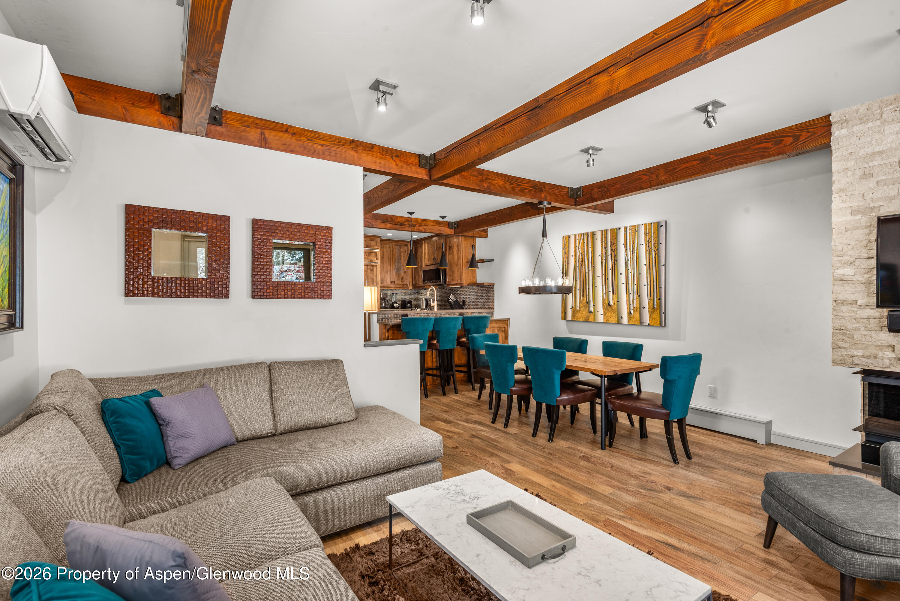 610 S West End Street Aspen CO 81611