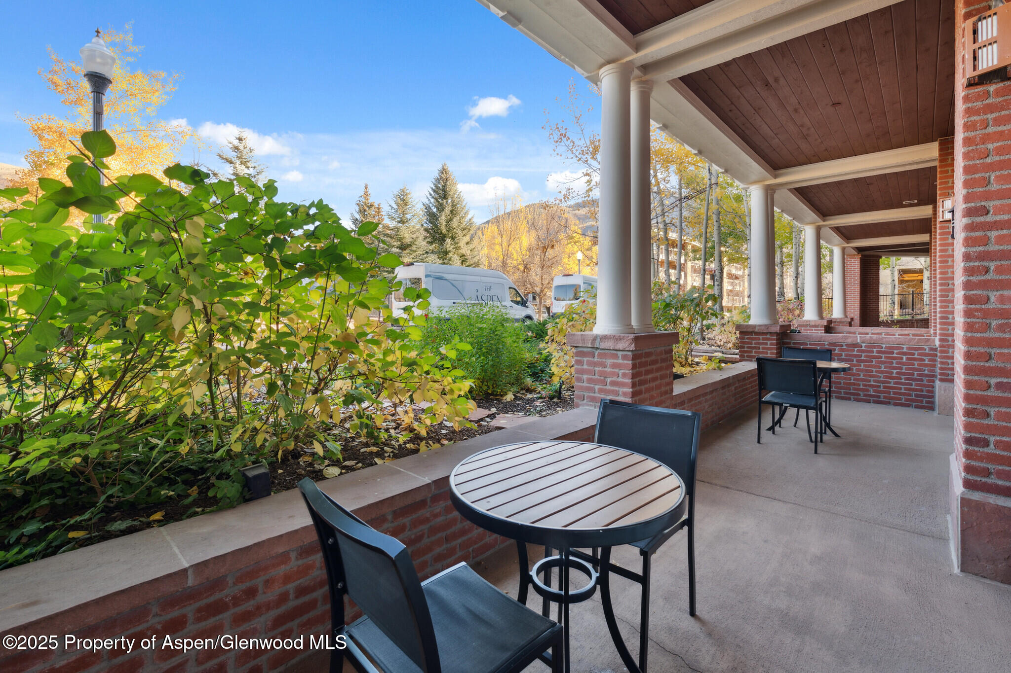 415 E Dean St., Unit 2, Week 31 Aspen CO 81611