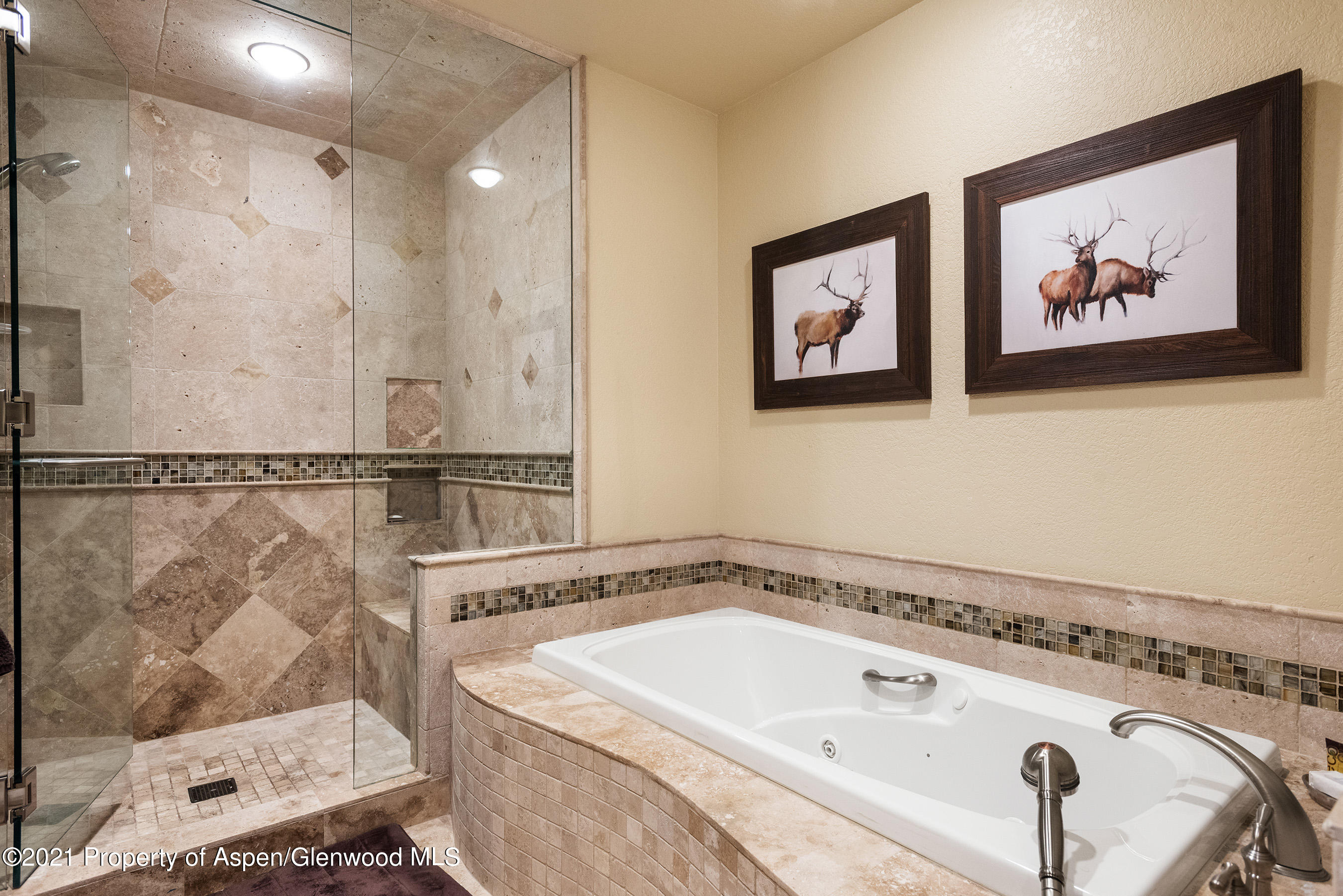 229 Faraway Road Snowmass Village CO 81615