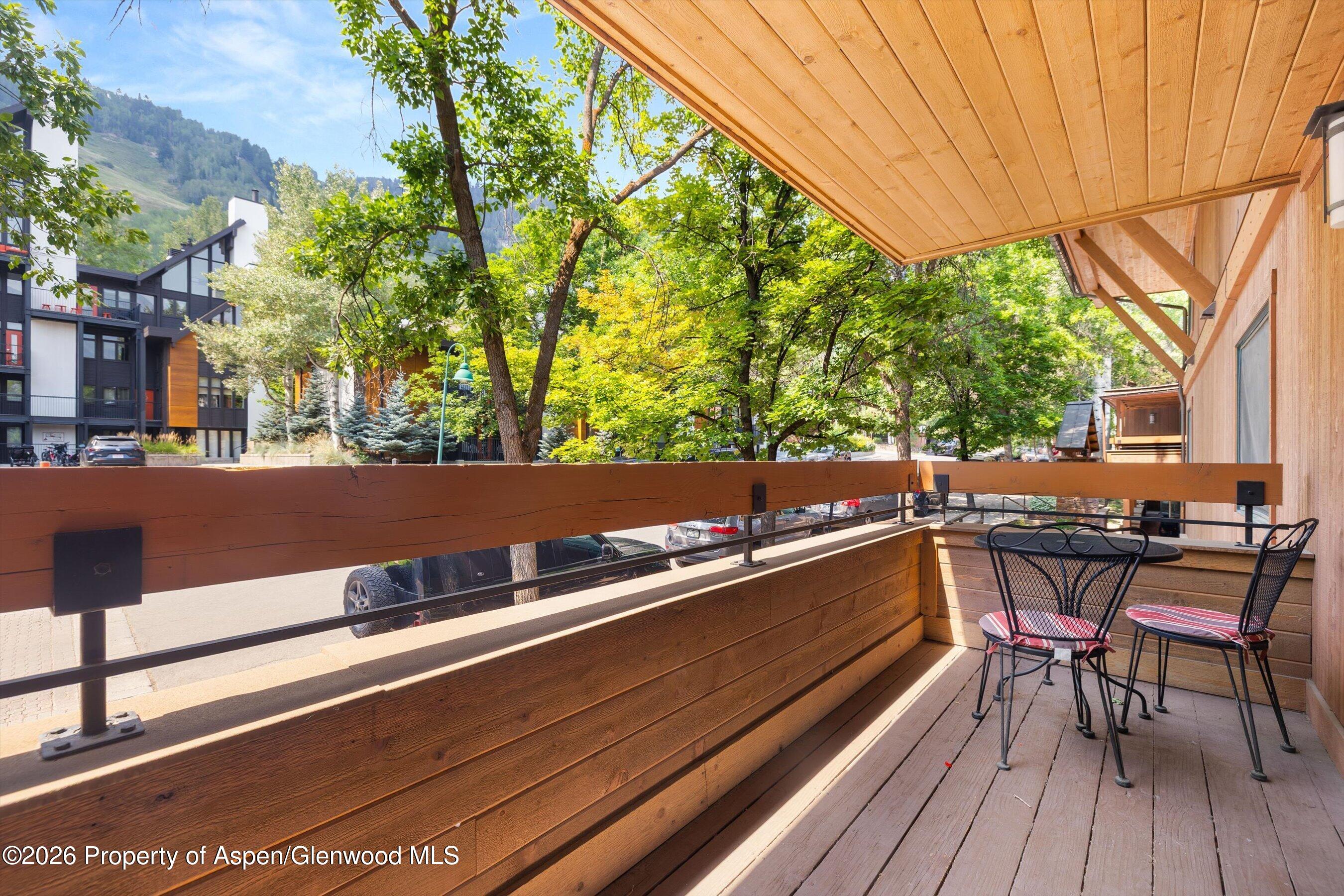 747 S Galena Street Aspen CO 81611