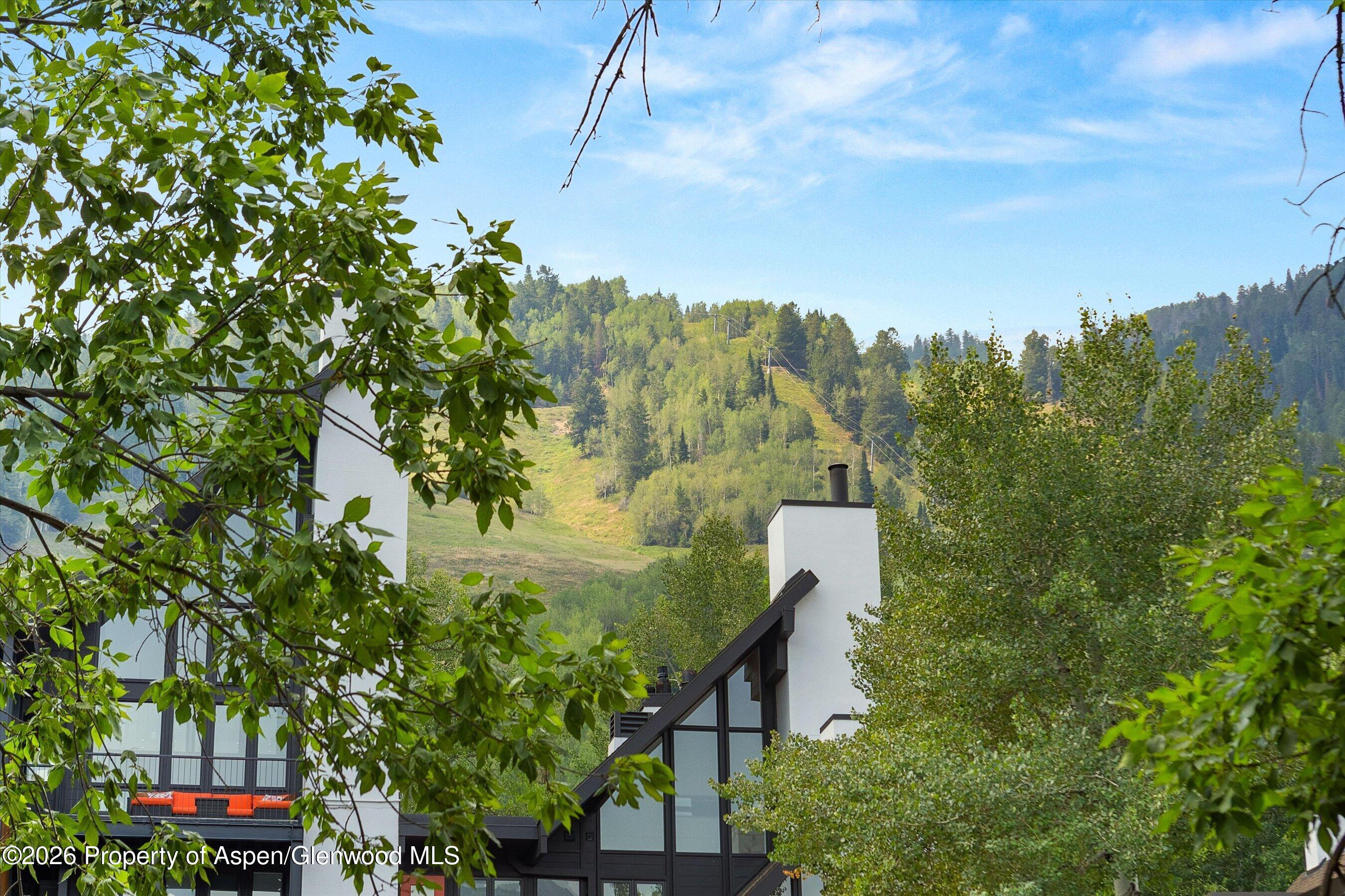 747 S Galena Street Aspen CO 81611