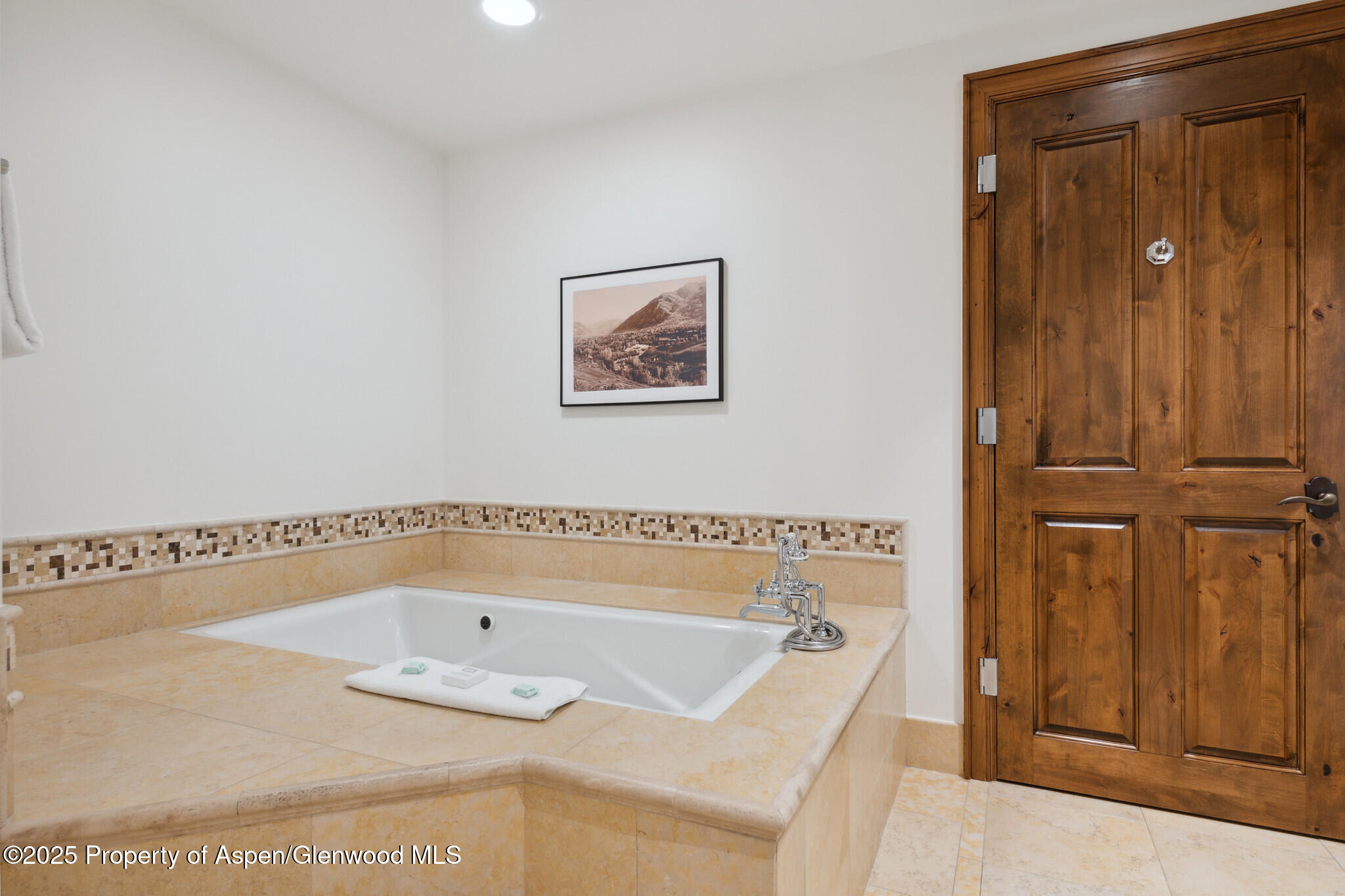 415 E Dean St., Unit 38, Week 33 Aspen CO 81611