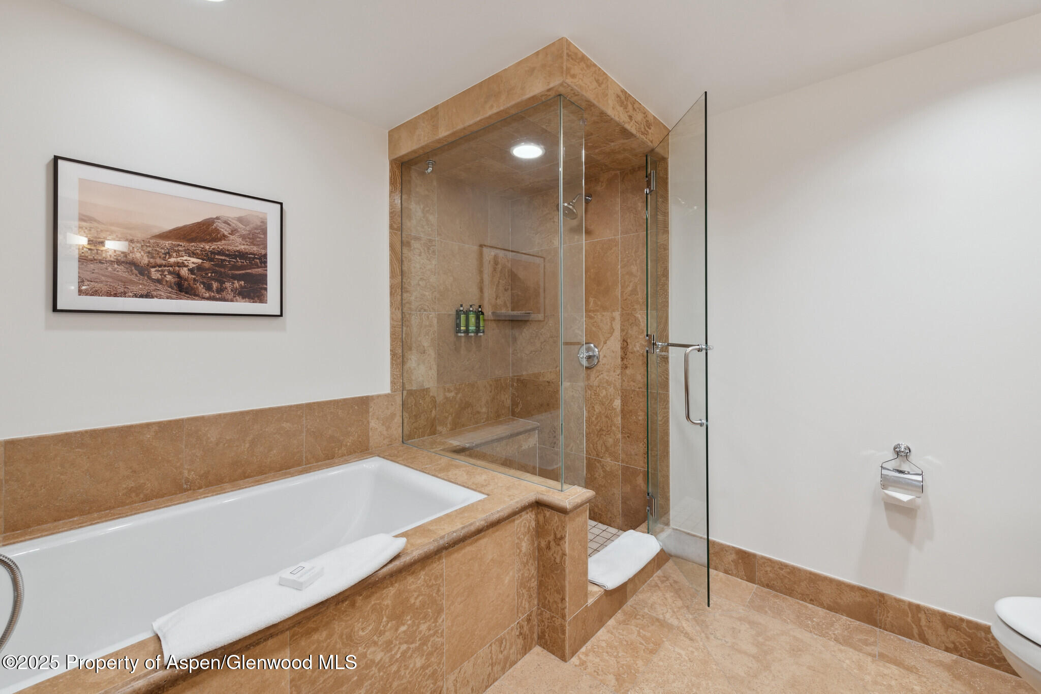 415 E Dean St., Unit 38, Week 33 Aspen CO 81611