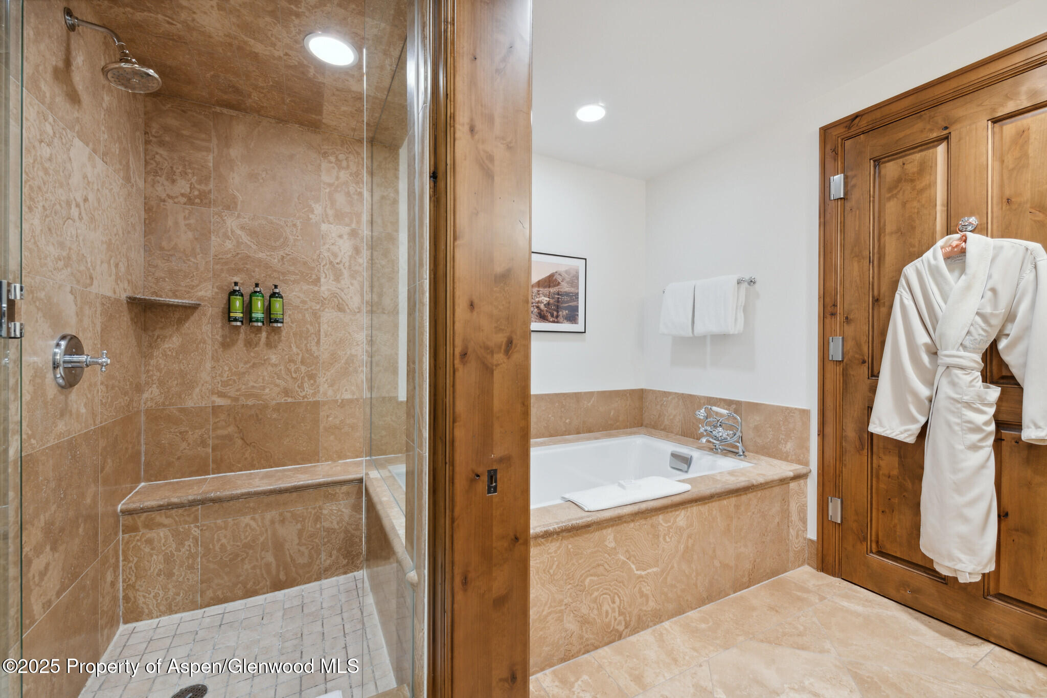 415 E Dean St., Unit 38, Week 33 Aspen CO 81611