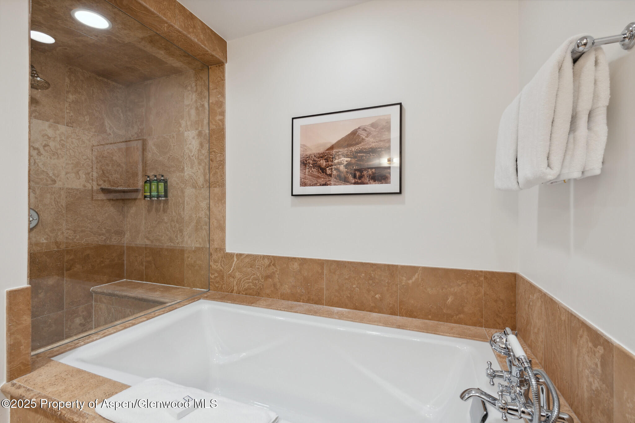 415 E Dean St., Unit 38, Week 33 Aspen CO 81611