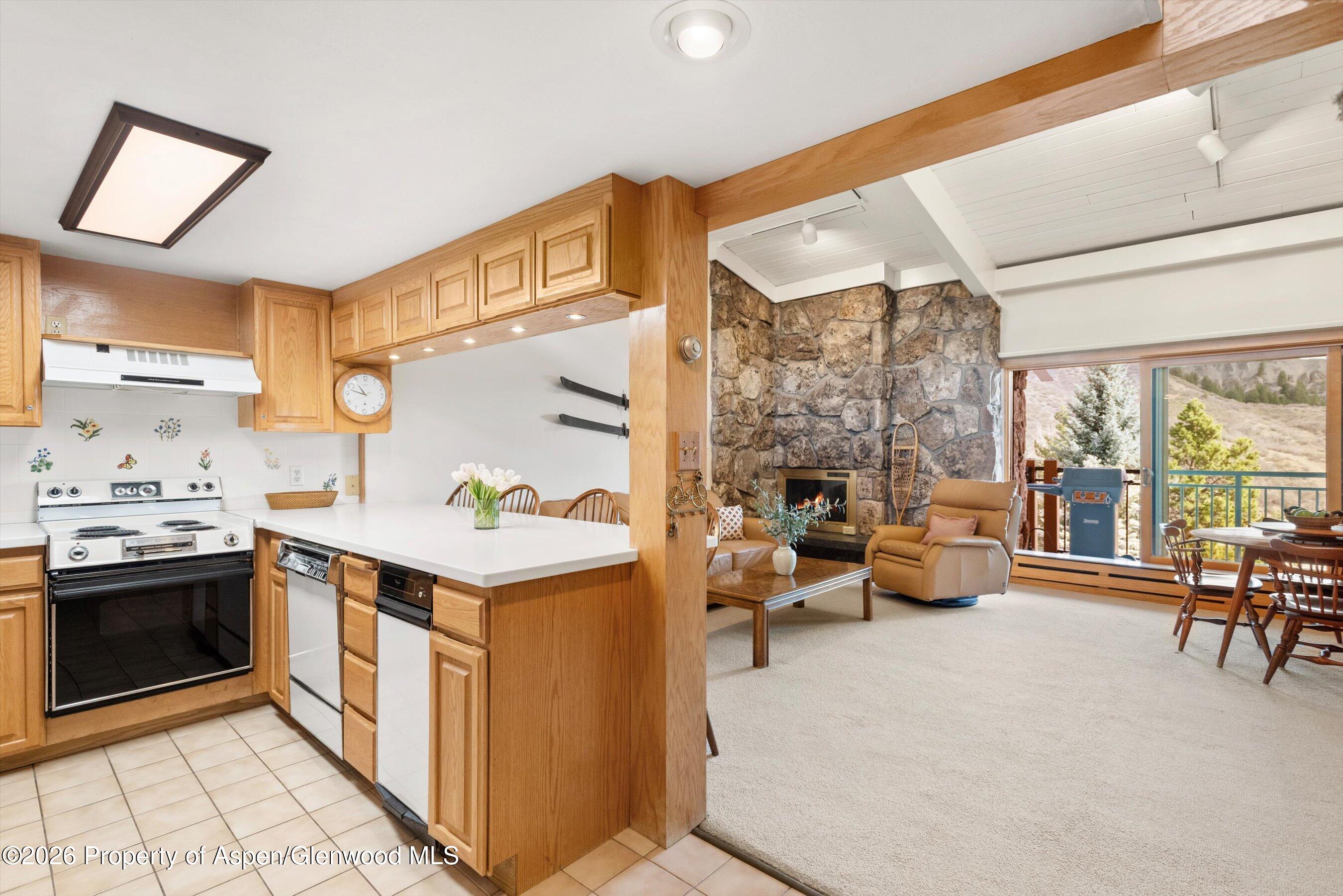 30 Anderson Lane Snowmass Village CO 81615
