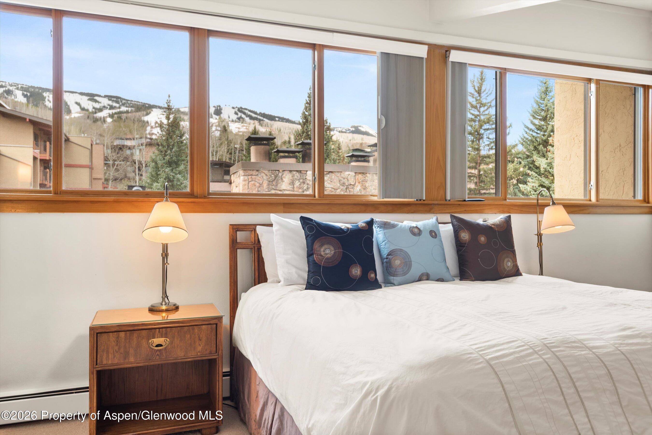 30 Anderson Lane Snowmass Village CO 81615