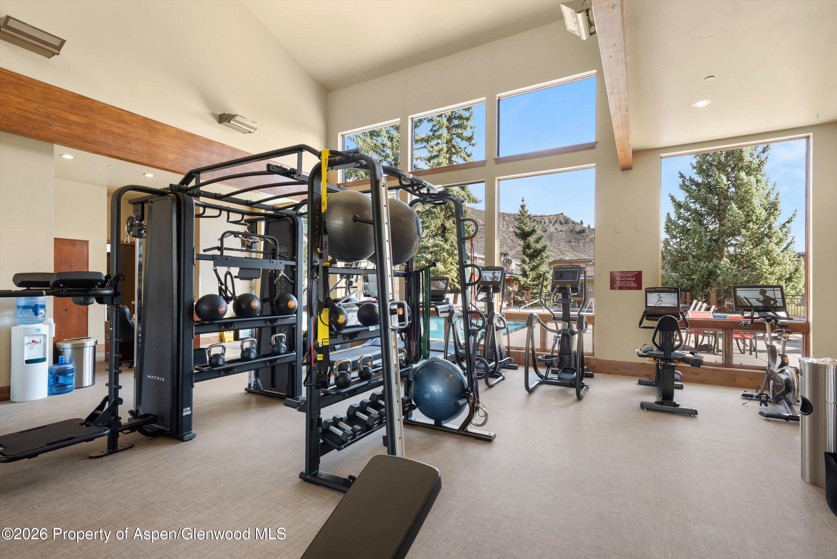 30 Anderson Lane Snowmass Village CO 81615