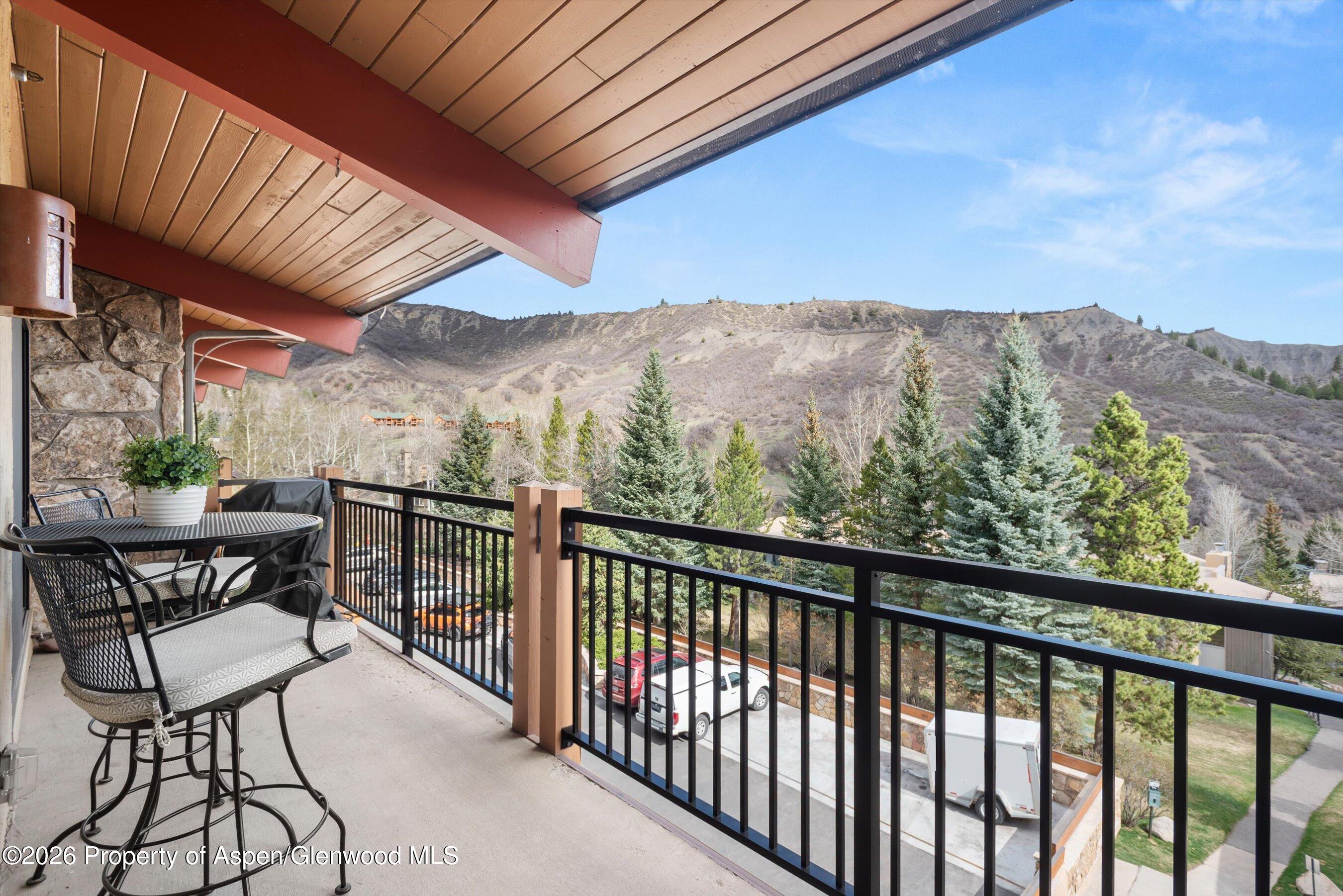 30 Anderson Lane Snowmass Village CO 81615