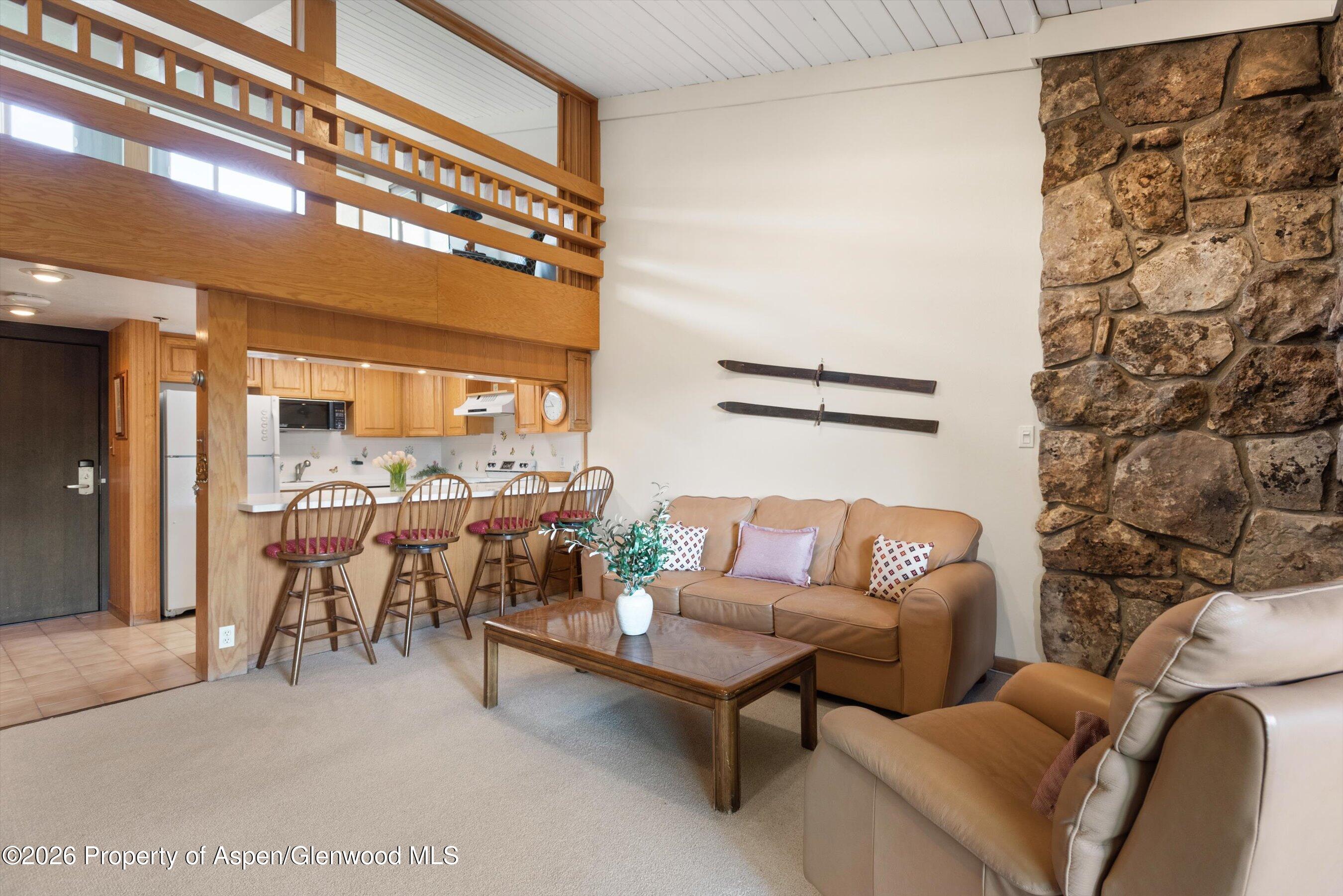 30 Anderson Lane Snowmass Village CO 81615