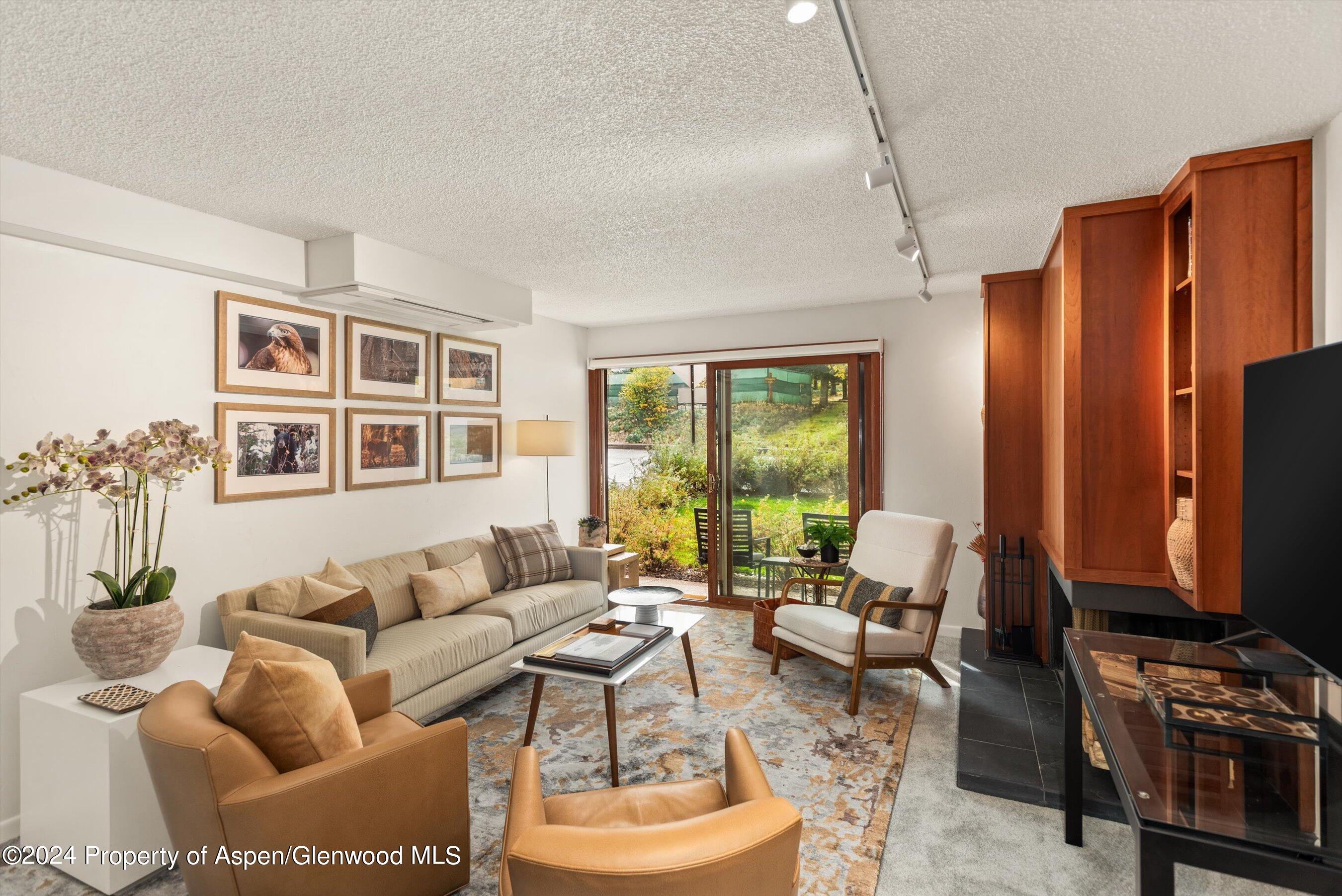 205 E Durant Avenue Aspen CO 81611
