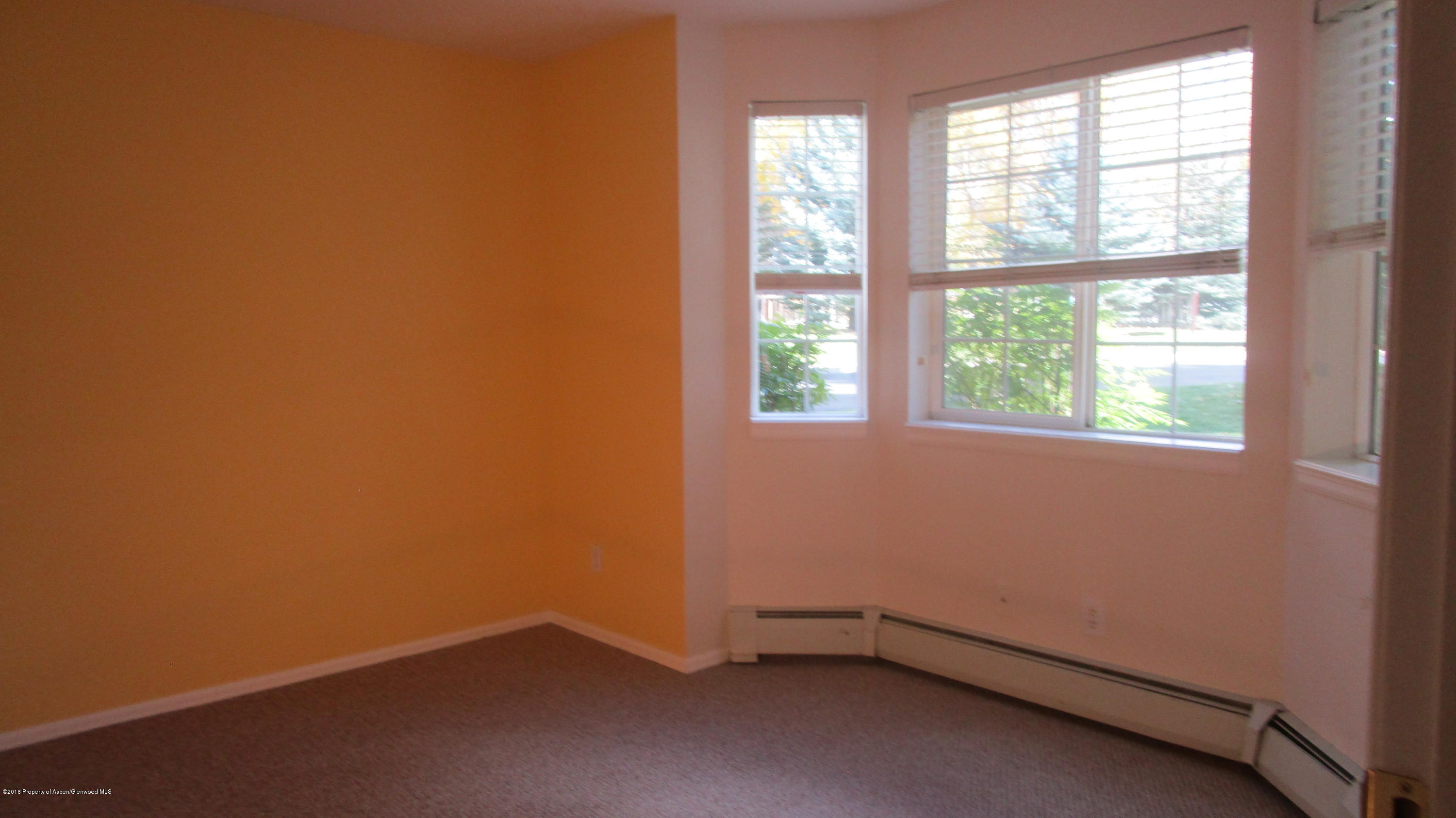 9101 Elk Lane Basalt CO 81621