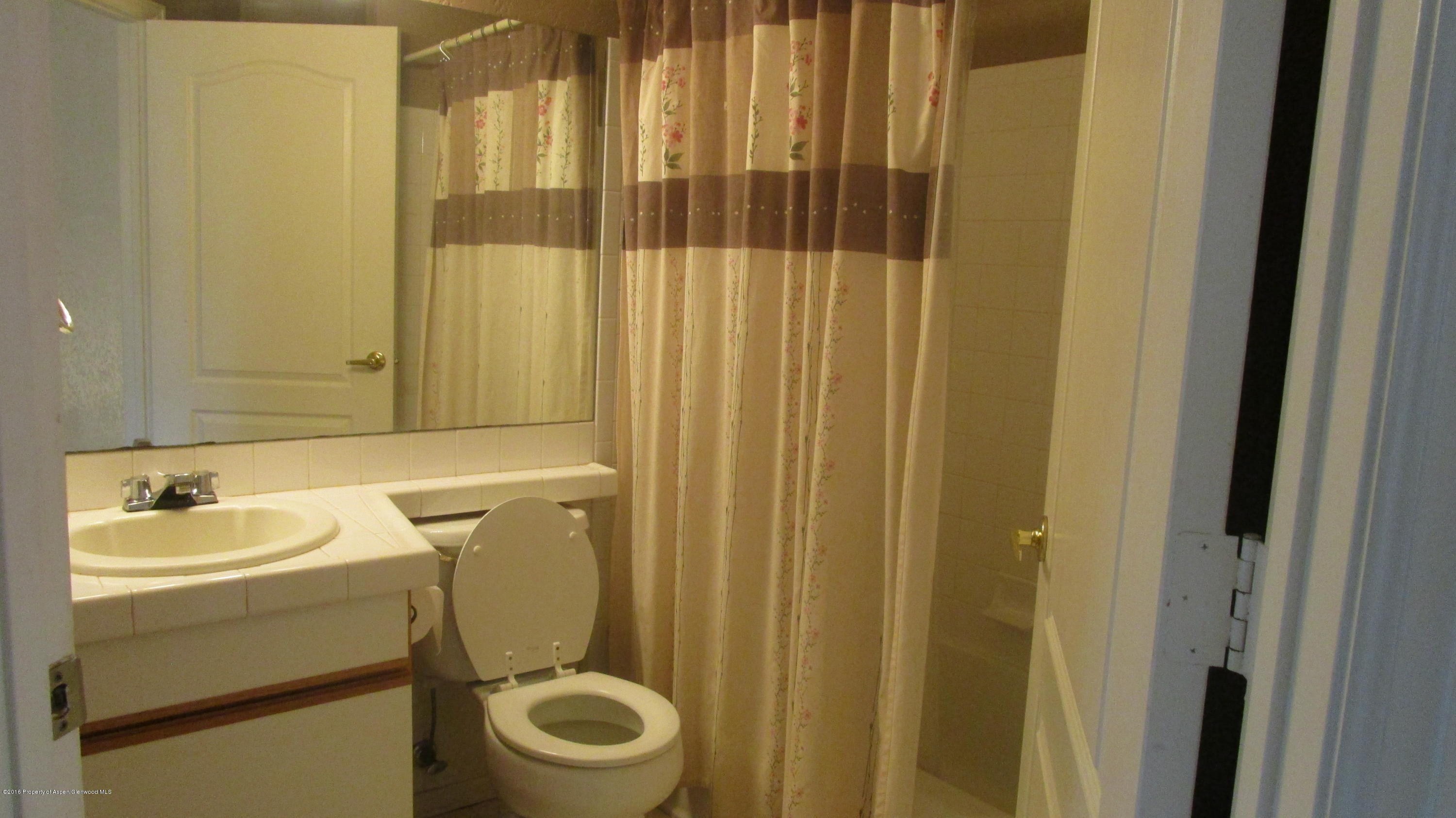 9101 Elk Lane Basalt CO 81621