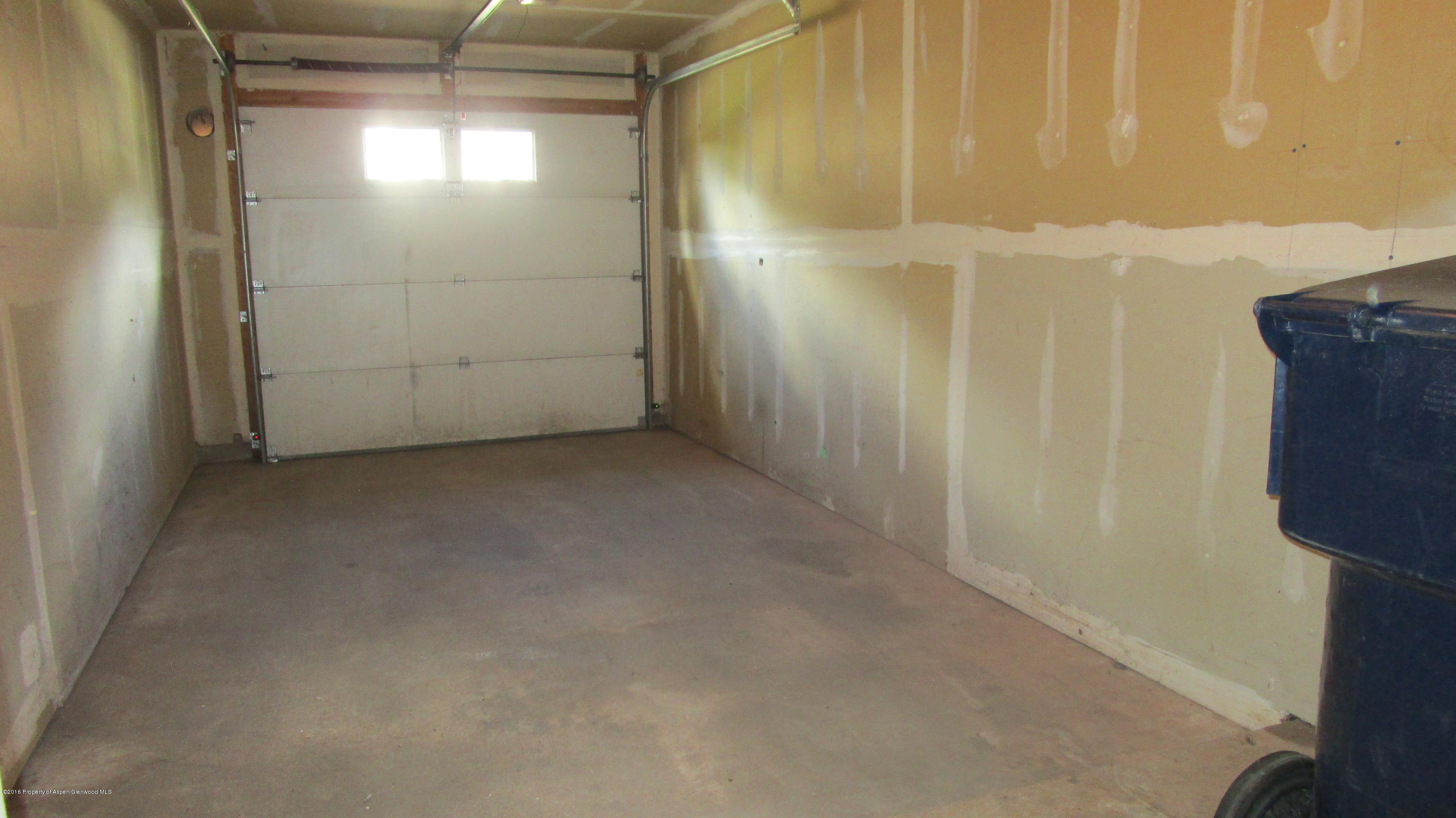 9101 Elk Lane Basalt CO 81621