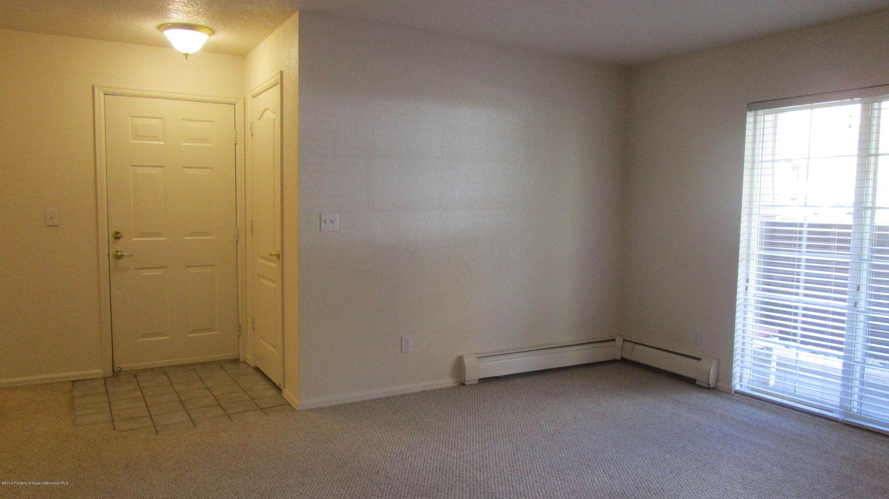 9101 Elk Lane Basalt CO 81621