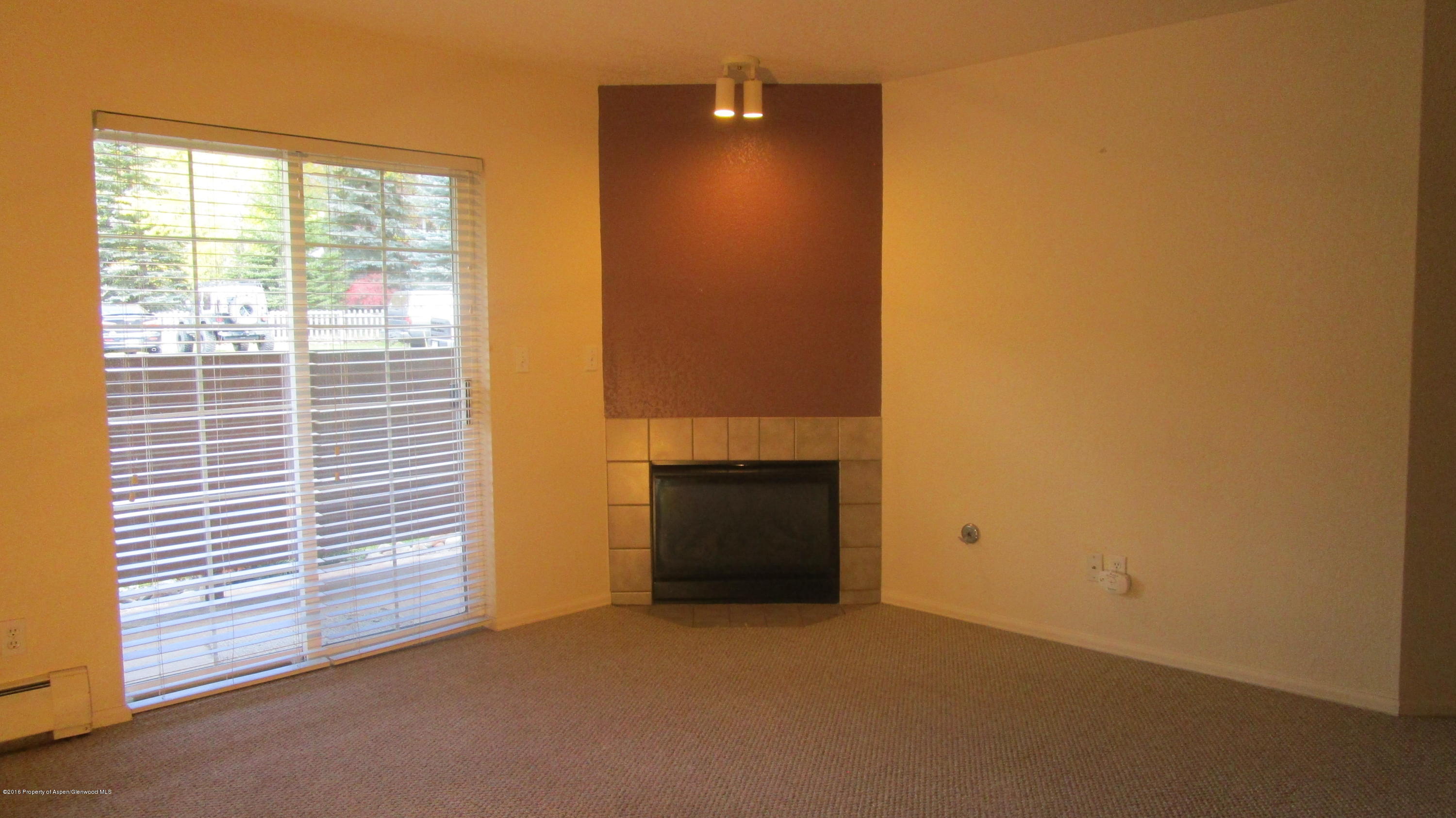 9101 Elk Lane Basalt CO 81621